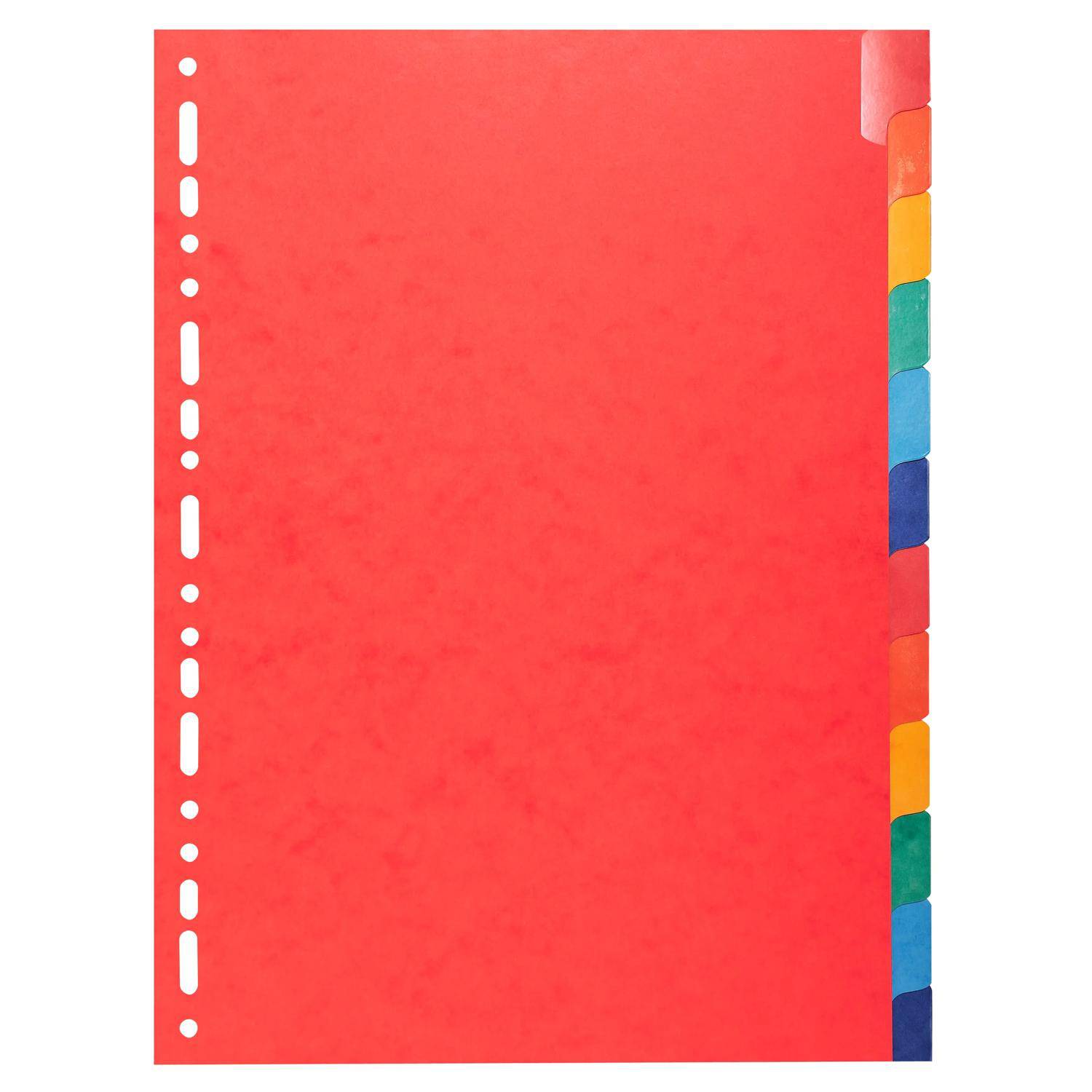 Exacompta 15x Register A4, Colorspan-Karton 225g, 12 neutrale Taben - 2212E
