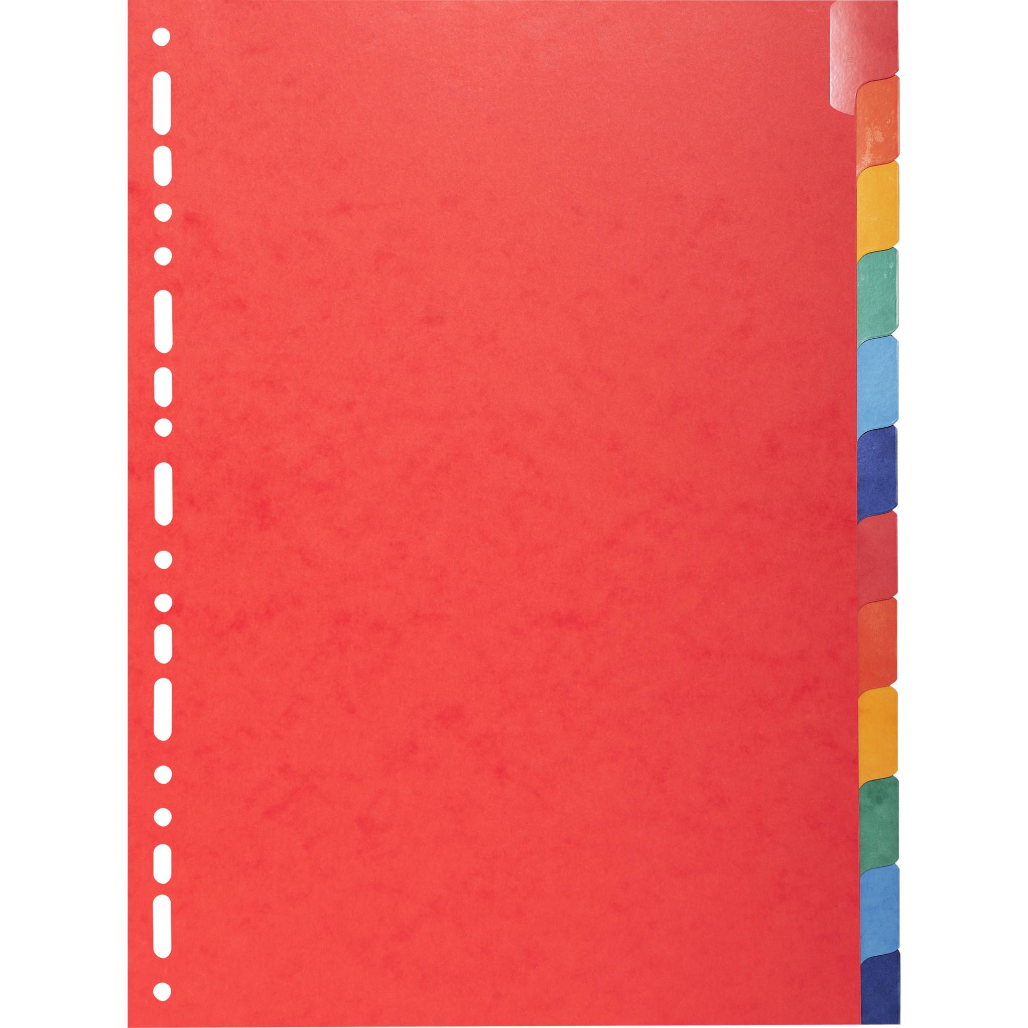 Exacompta 15x Register A4, Colorspan-Karton 225g, 12 neutrale Taben - 2212E