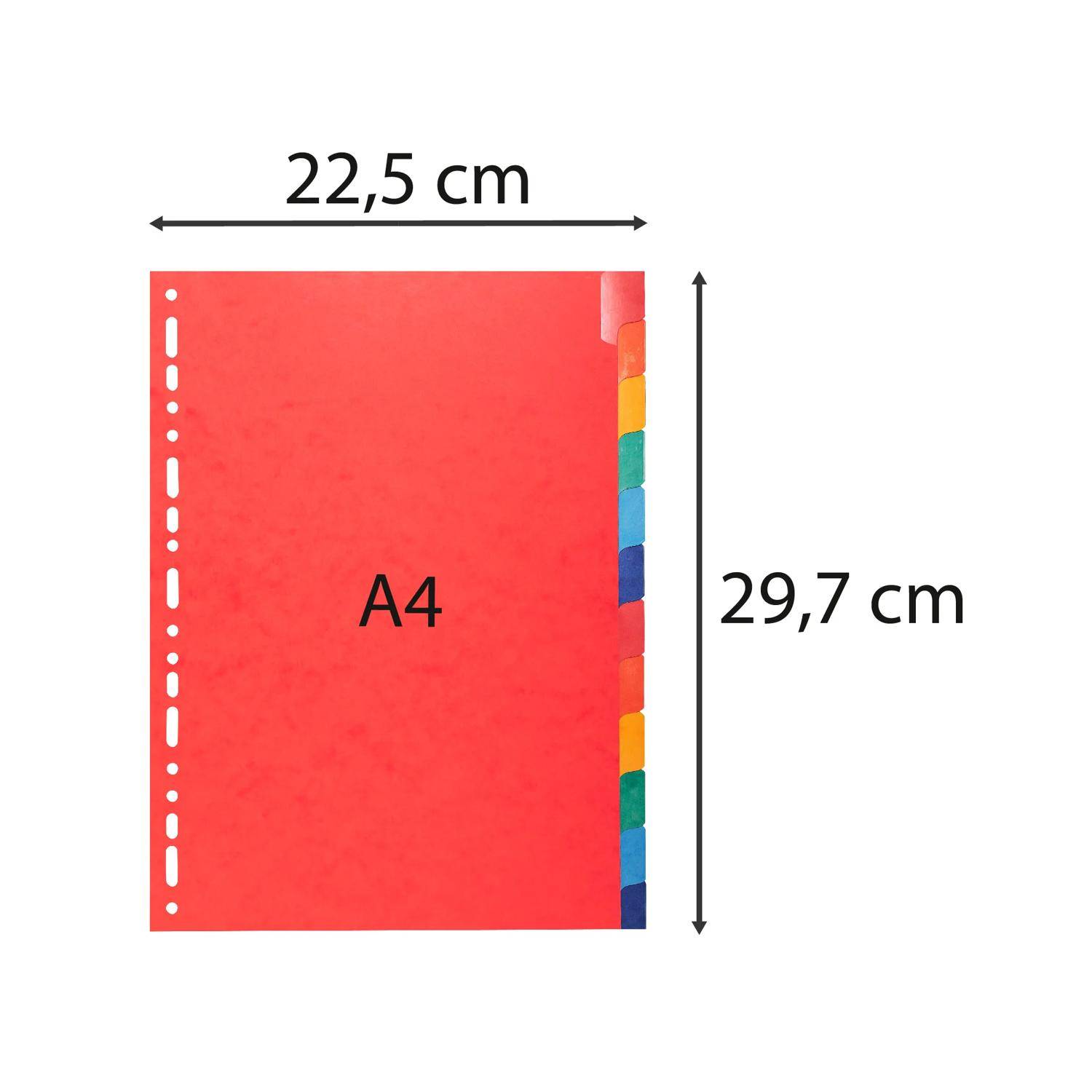 Exacompta 15x Register A4, Colorspan-Karton 225g, 12 neutrale Taben - 2212E
