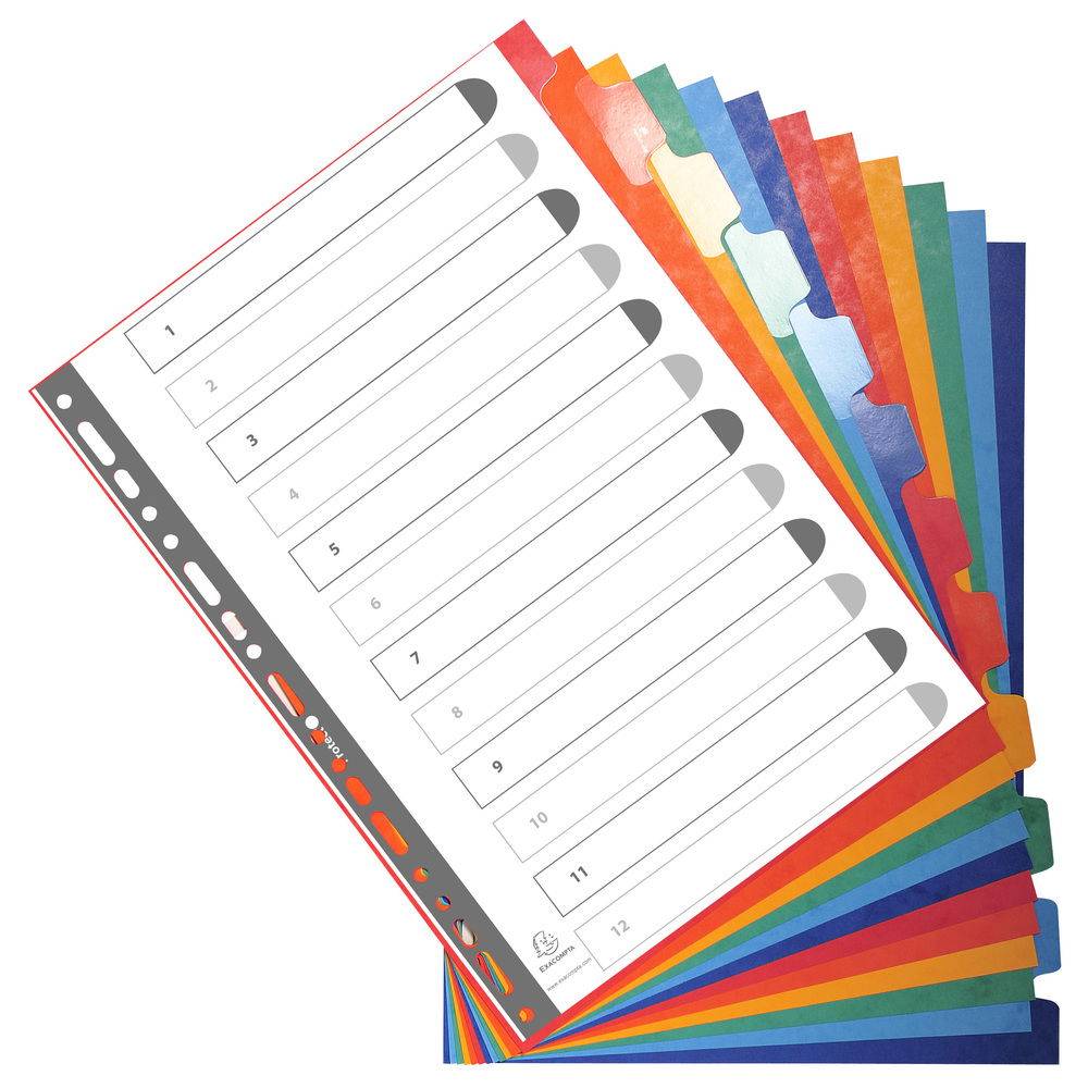 Exacompta 15x Register A4, Colorspan-Karton 225g, 12 neutrale Taben - 2212E
