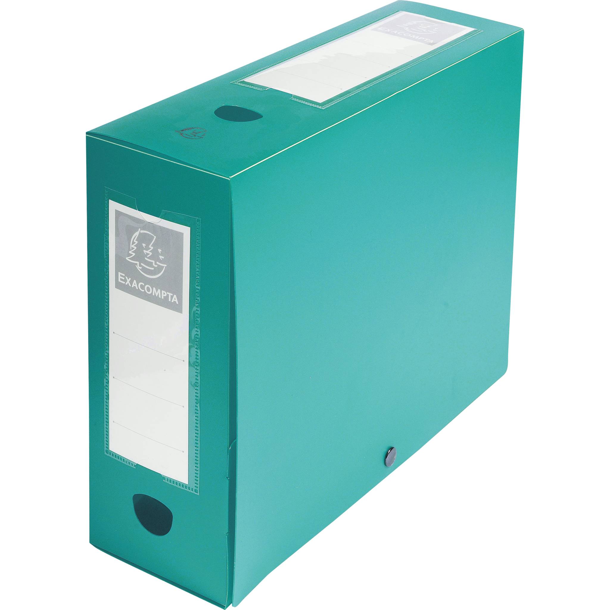 Exacompta 10x Archivbox + Knopf, PP 700µ, Rücken 100mm, A4, Grün, 59933E