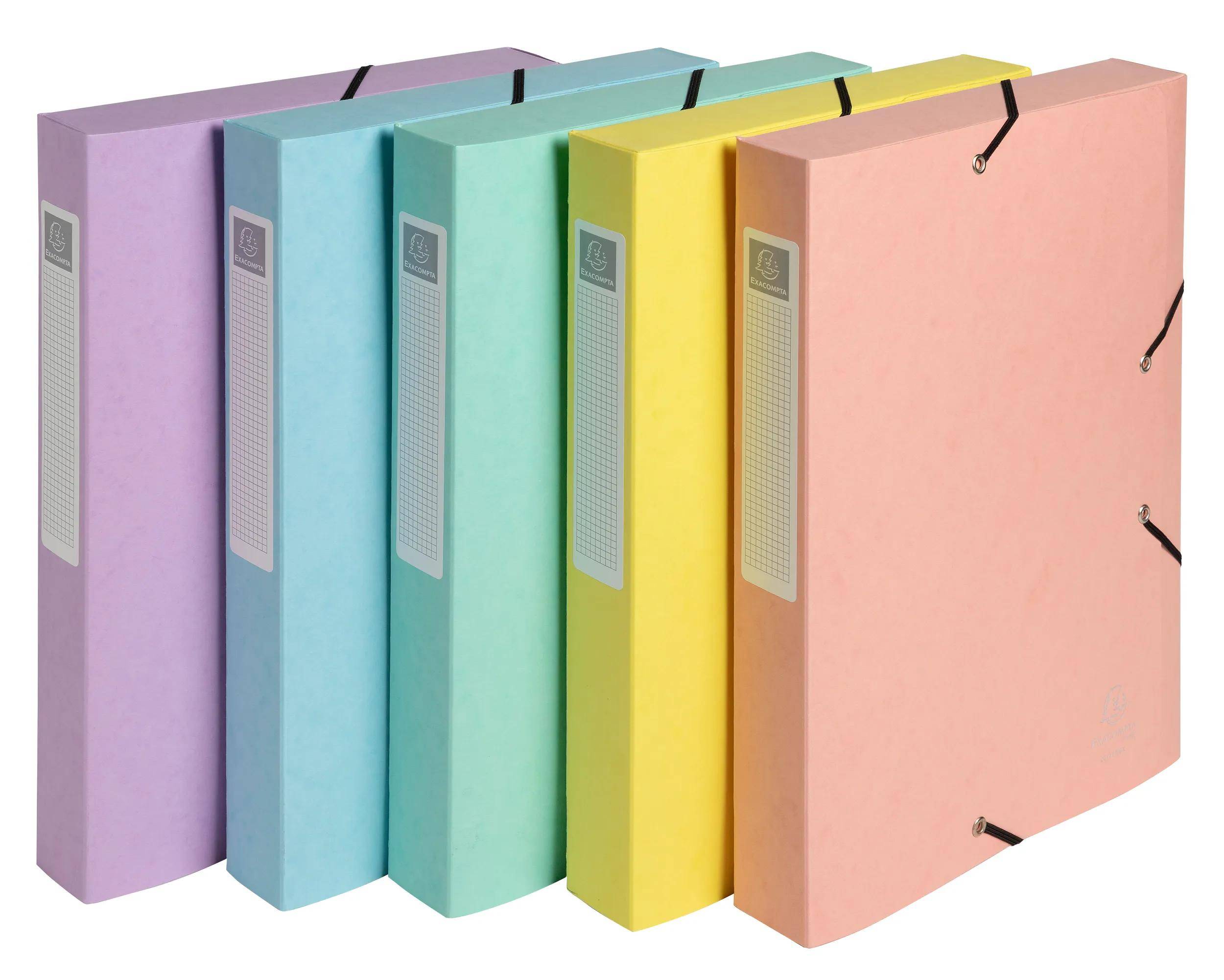 Exacompta 10x Archivbox A4 Colorspan Rücken 40mm Aquarel sortiert 14460E