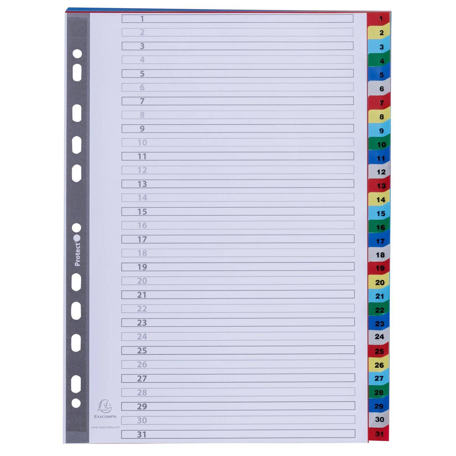 Ein 31-Tab-Registerblatt mit nummerierten Zeilen zur Unterteilung von Abschnitten in einem Ordner, farbcodierte Reiter an der rechten Kante und Lochungen auf der linken Seite.