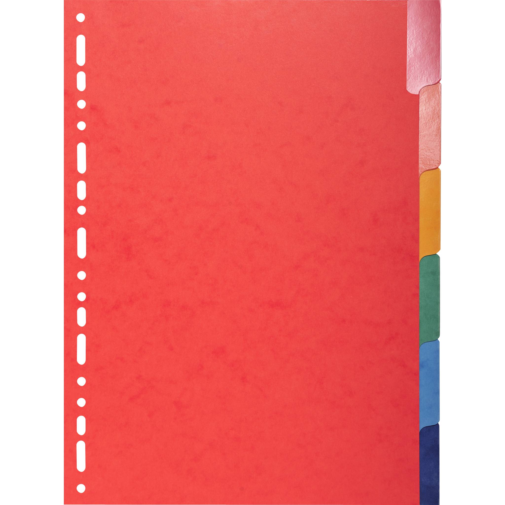 Exacompta 25x Register A4, Colorspan-Karton 225g, 6 neutrale Taben - 2206E