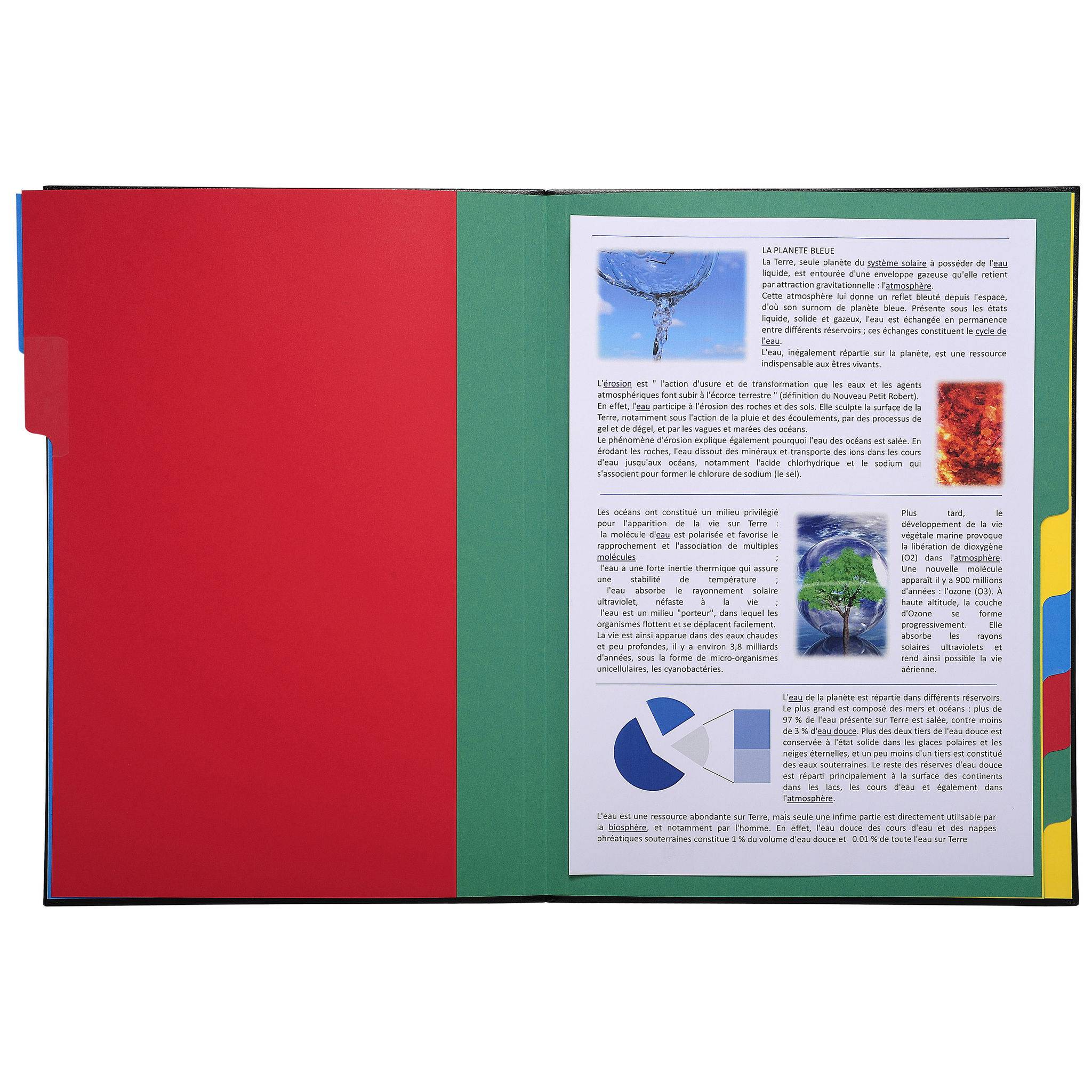 Exacompta 6x Ordnungsmappe Deckel 3mm Gummizug 12 Fächer A4 Schwarz 55341E