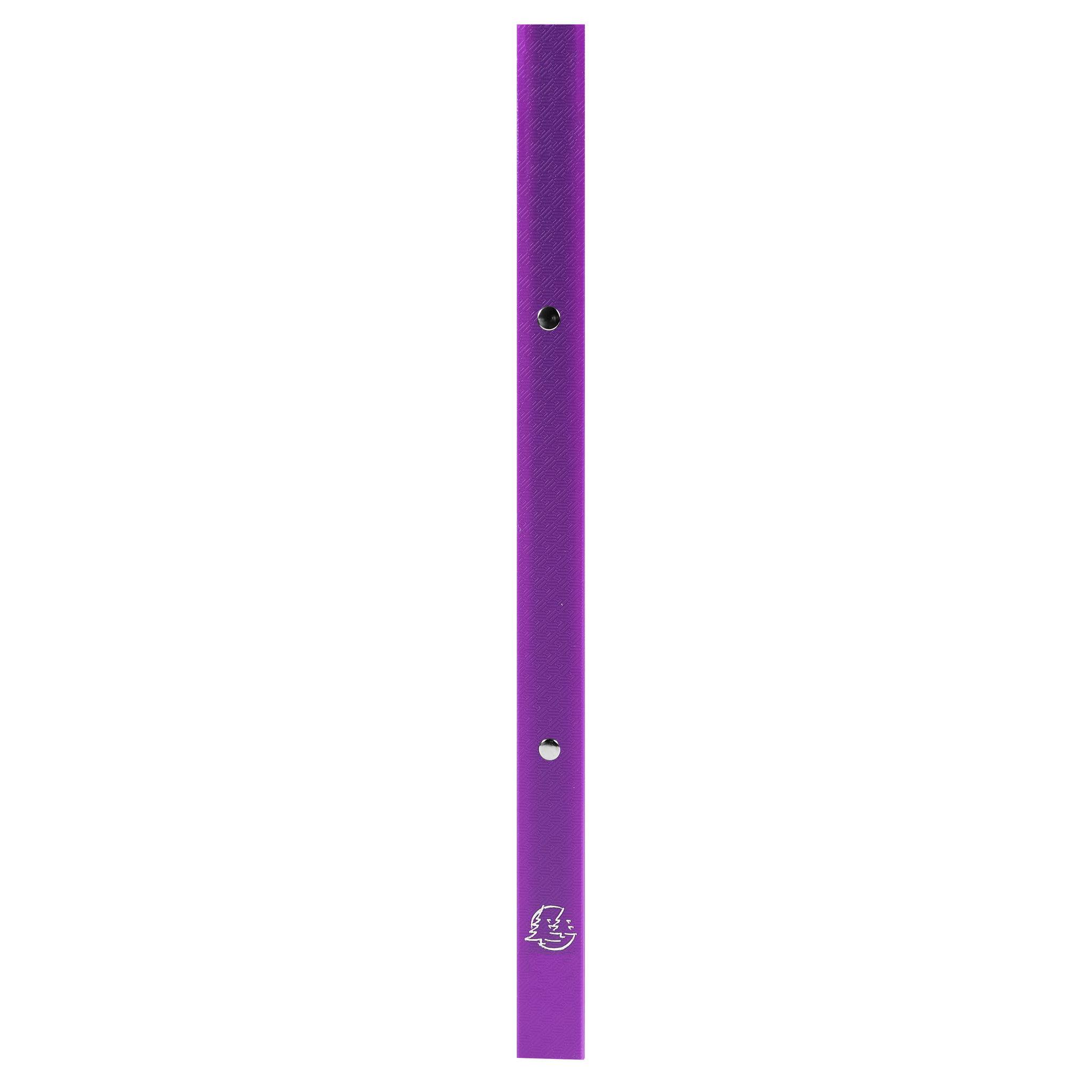 Exacompta 25x Ringbuch PP 500µ 2Ring 15mm Rücken 20mm A4 Violett 54197SE