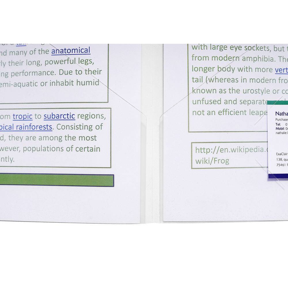 Exacompta 2x Präsentionmappen PP 200µ A4 A3 farbig sortiert Kristall 3965E