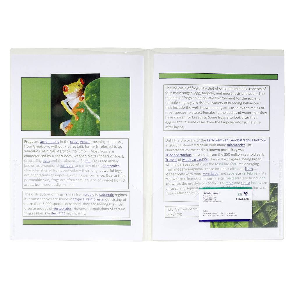 Exacompta 2x Präsentionmappen PP 200µ A4 A3 farbig sortiert Kristall 3965E