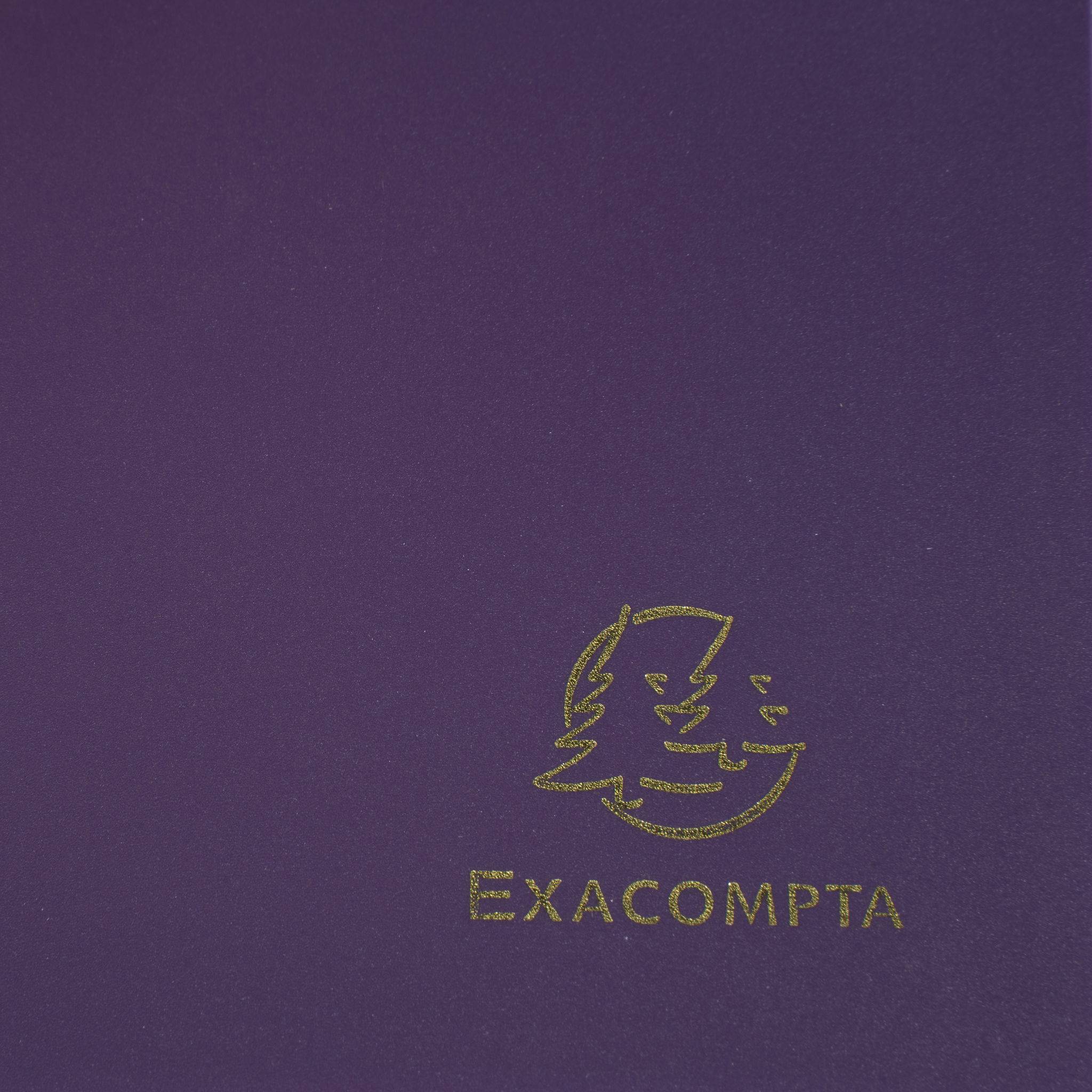 Exacompta 30x Sammelmappe +Gummizug 3 Klappen PP 400µ Eco A4 Violett 55918E