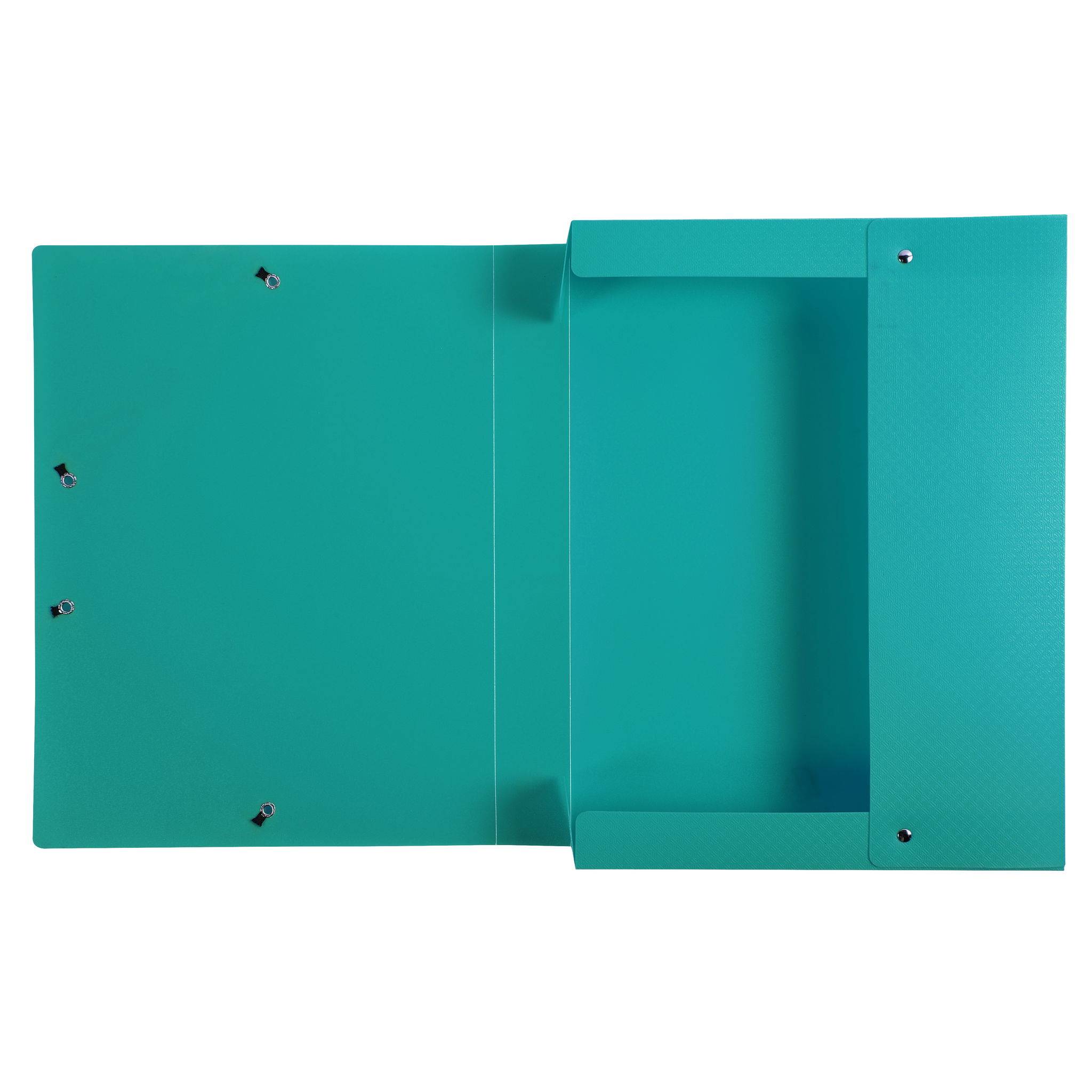 Exacompta 8x Archivbox PP 700µ blickdicht, Rücken 40mm, A4, Dunkelgrün, 59783E