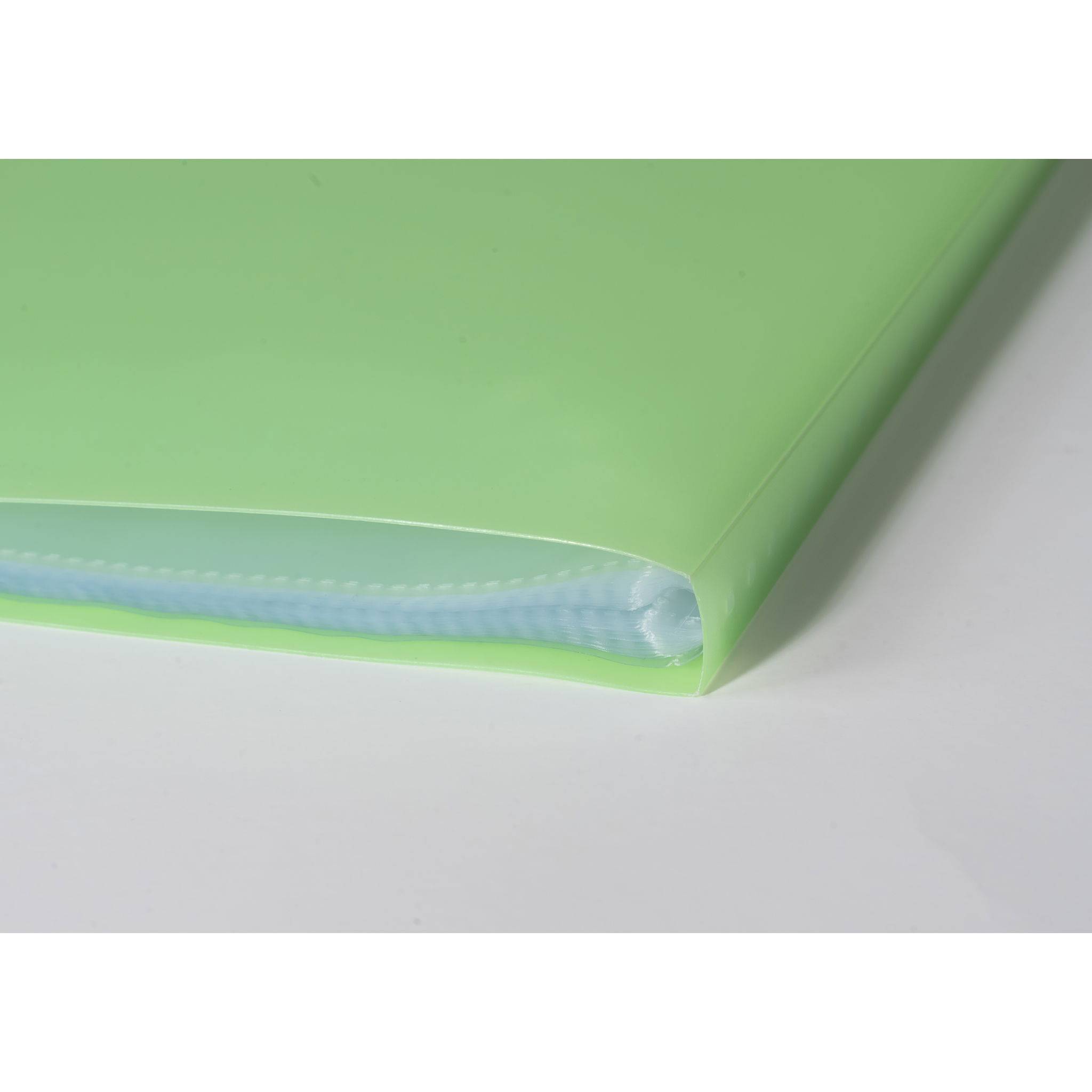 Exacompta 12x Sichtmappe PP 500µ + 30 Hüllen , A4, Grün, 85363E