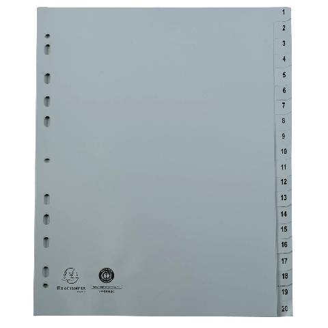 Exacompta 20x Register A4 grauem RC-PP 120µ Taben 1-20 20 Positionen Grau 1721E