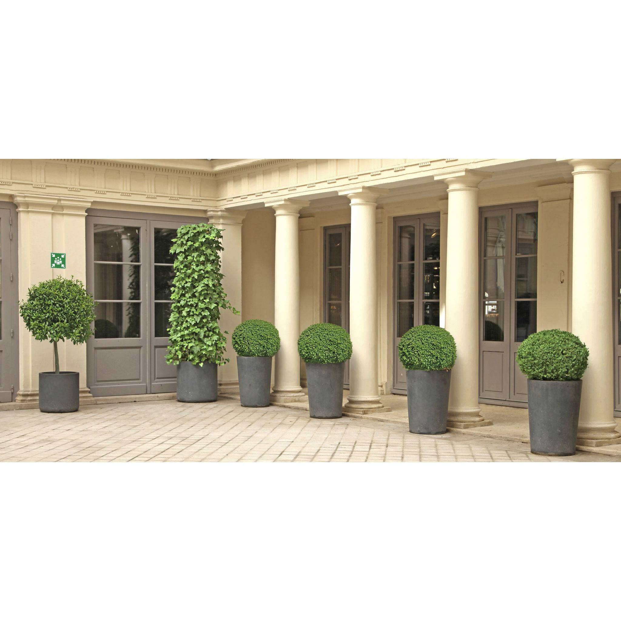 Exacompta Hinweisschild Sammelstelle PVC selbstklebend 20x20 cm Grün 67005E