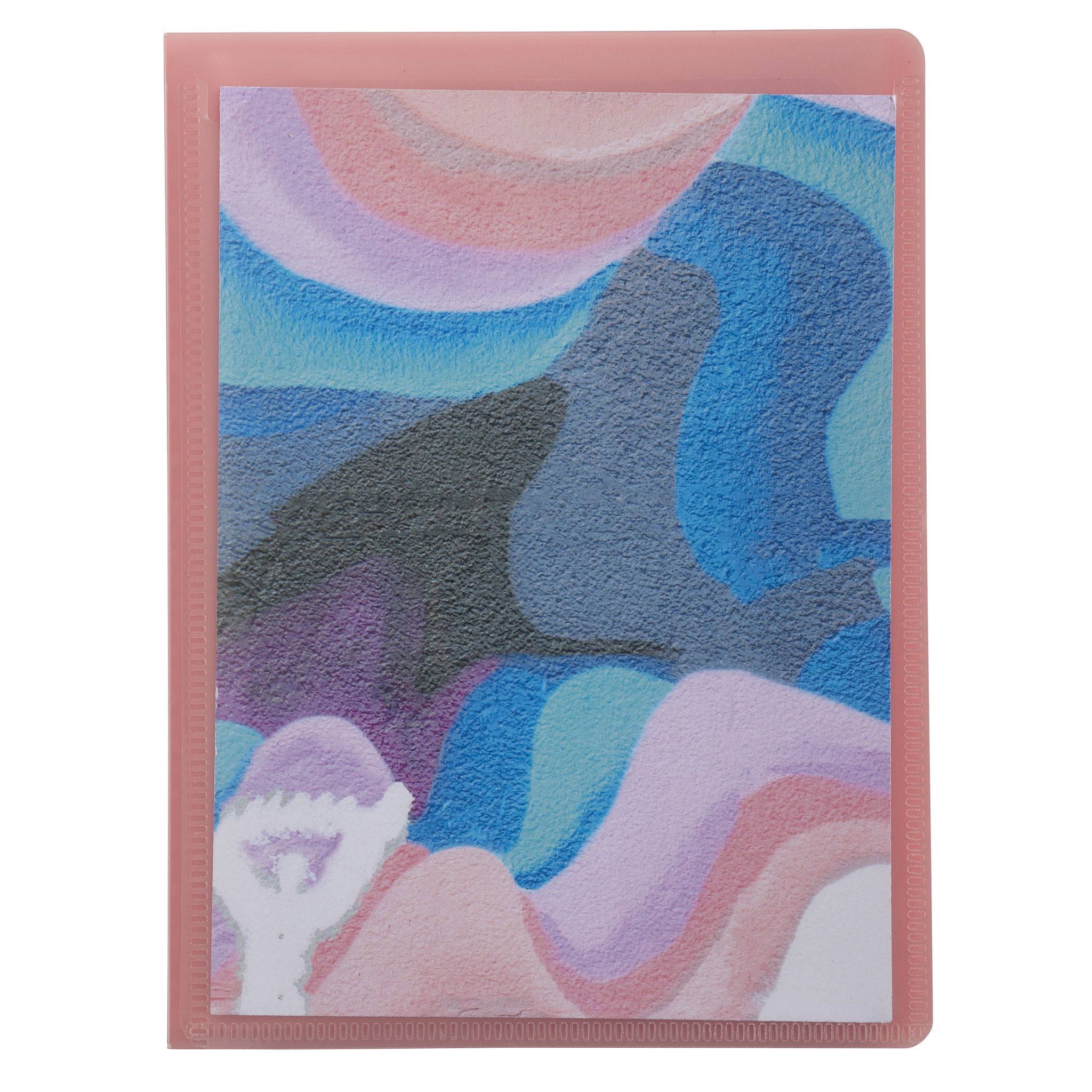 Exacompta 20x Sichtmapppen für 11x15 cm PP 20 Hüllen sortiert 5809E