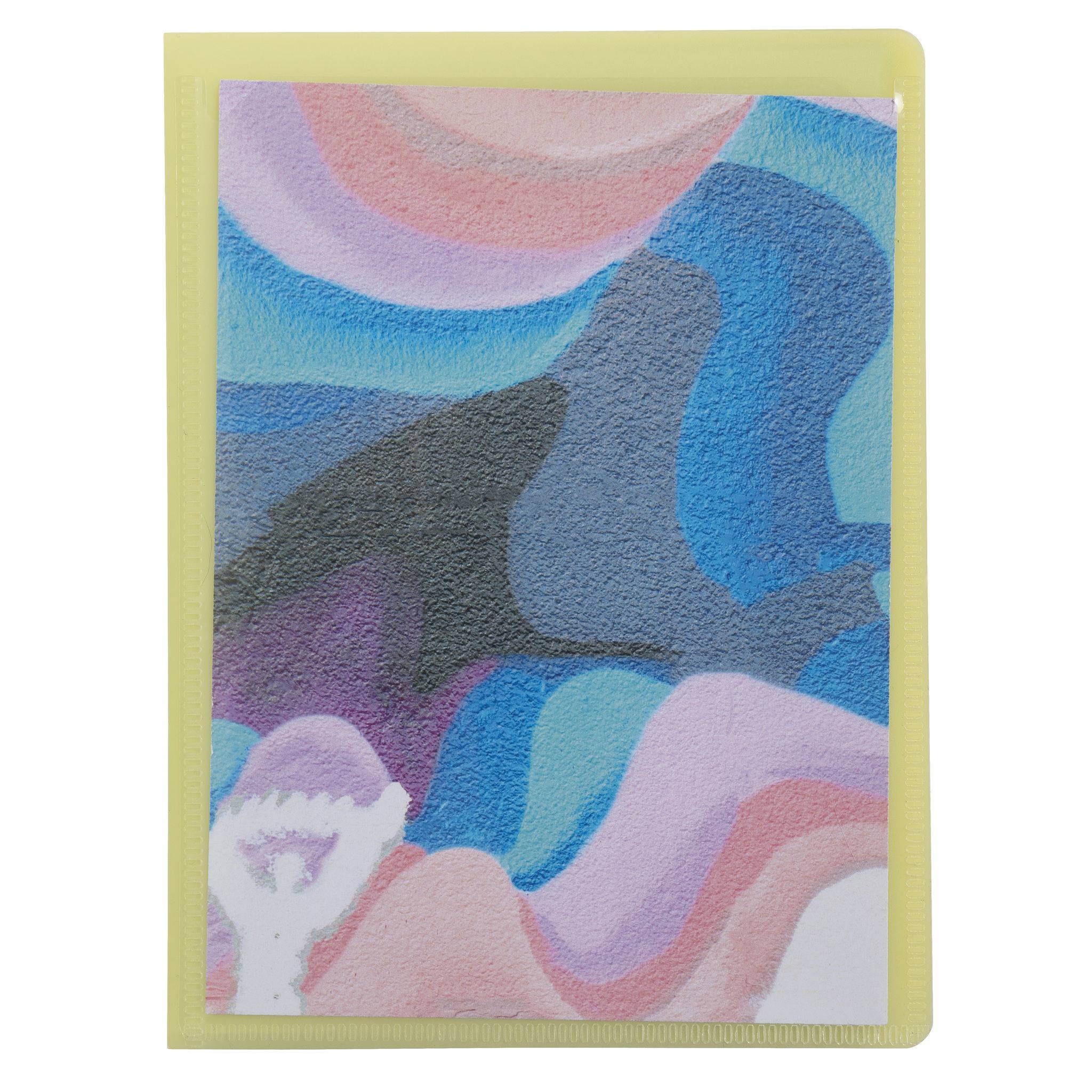 Exacompta 20x Sichtmapppen für 11x15 cm PP 20 Hüllen sortiert 5809E