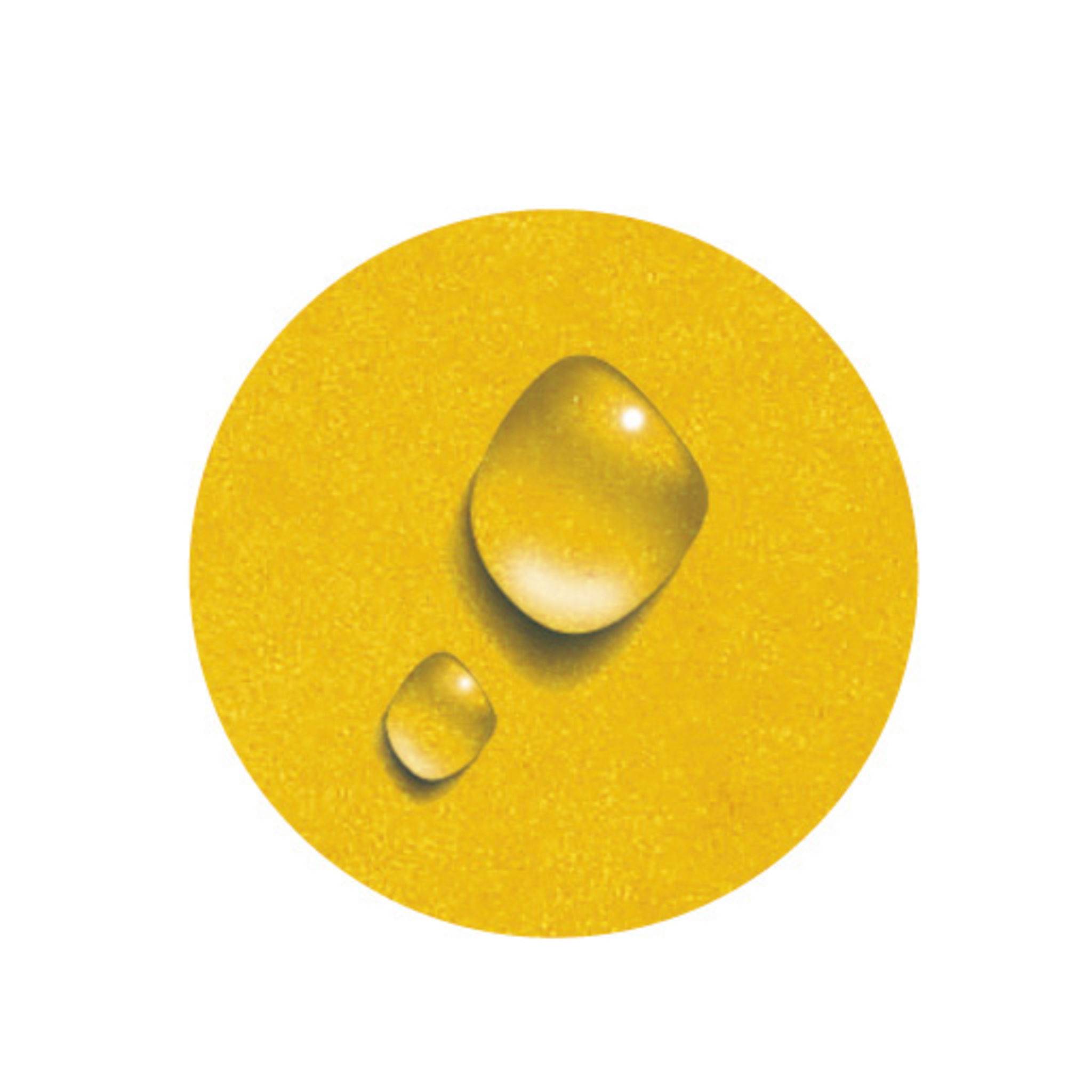 Exacompta 10x Ringbuch Karton 4Ring 30mm Rücken 40mm 32x26cm A4 Gelb 519299E