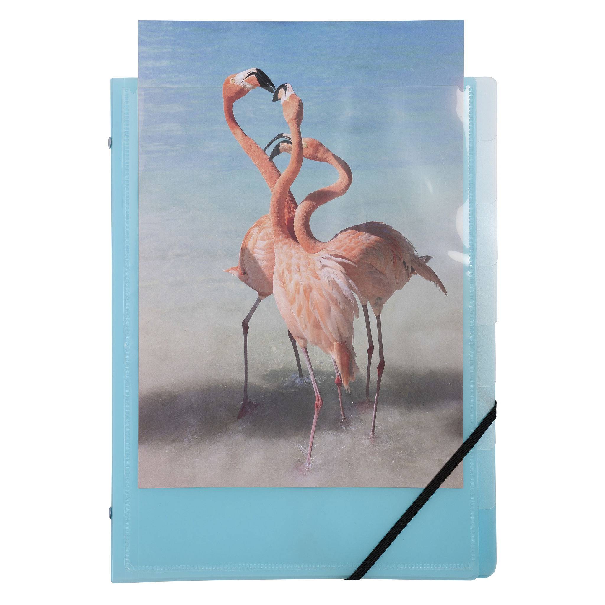 Exacompta 10x Ordnungsmappe A4 PP 3 Klappen 8 Fächer sortiert 56279E