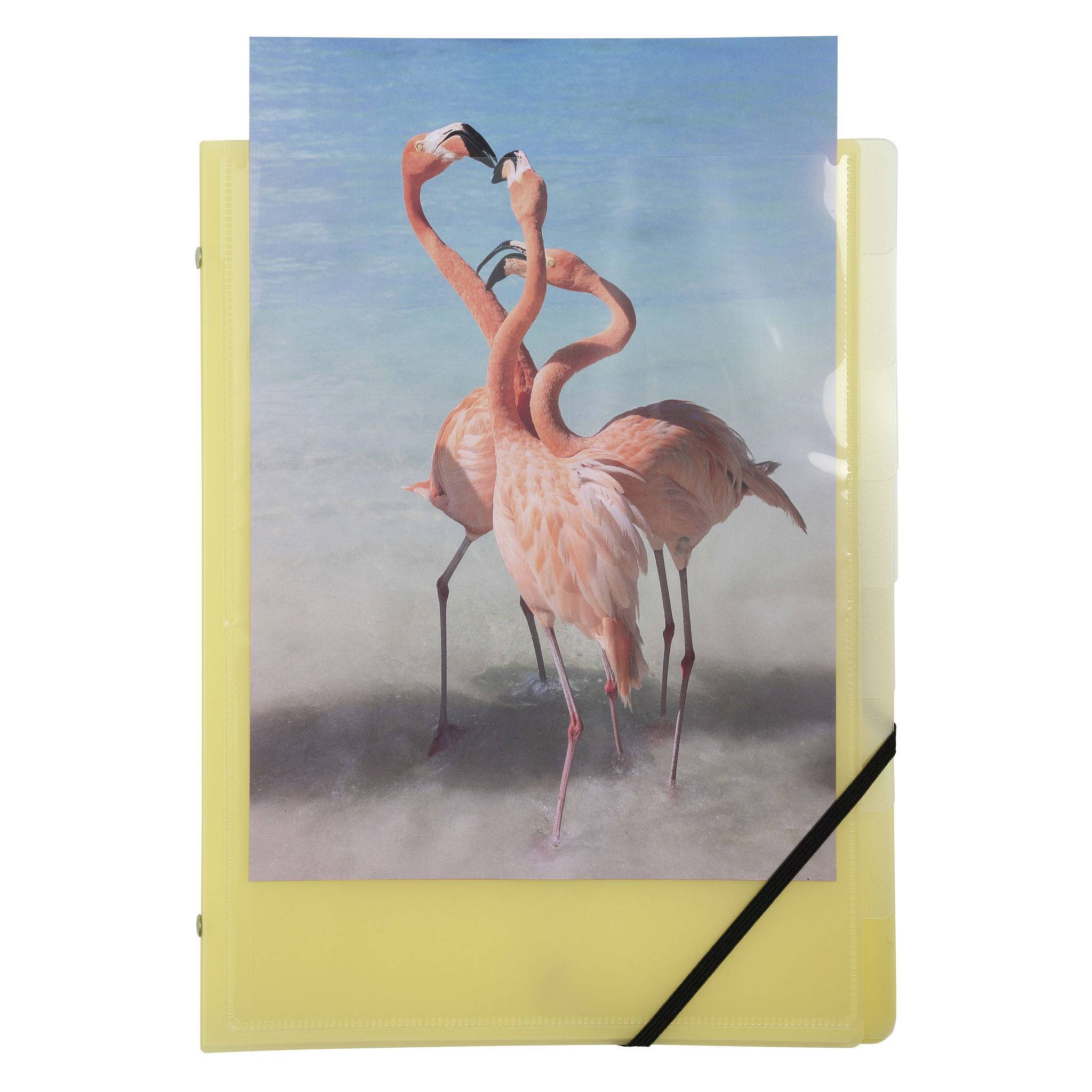 Exacompta 10x Ordnungsmappe A4 PP 3 Klappen 8 Fächer sortiert 56279E