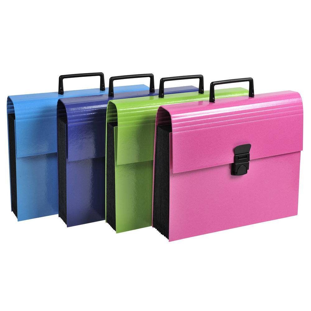 Exacompta 4x Dokumententasche Griff 12 Fächern dehnbar A4 sortiert 55630E