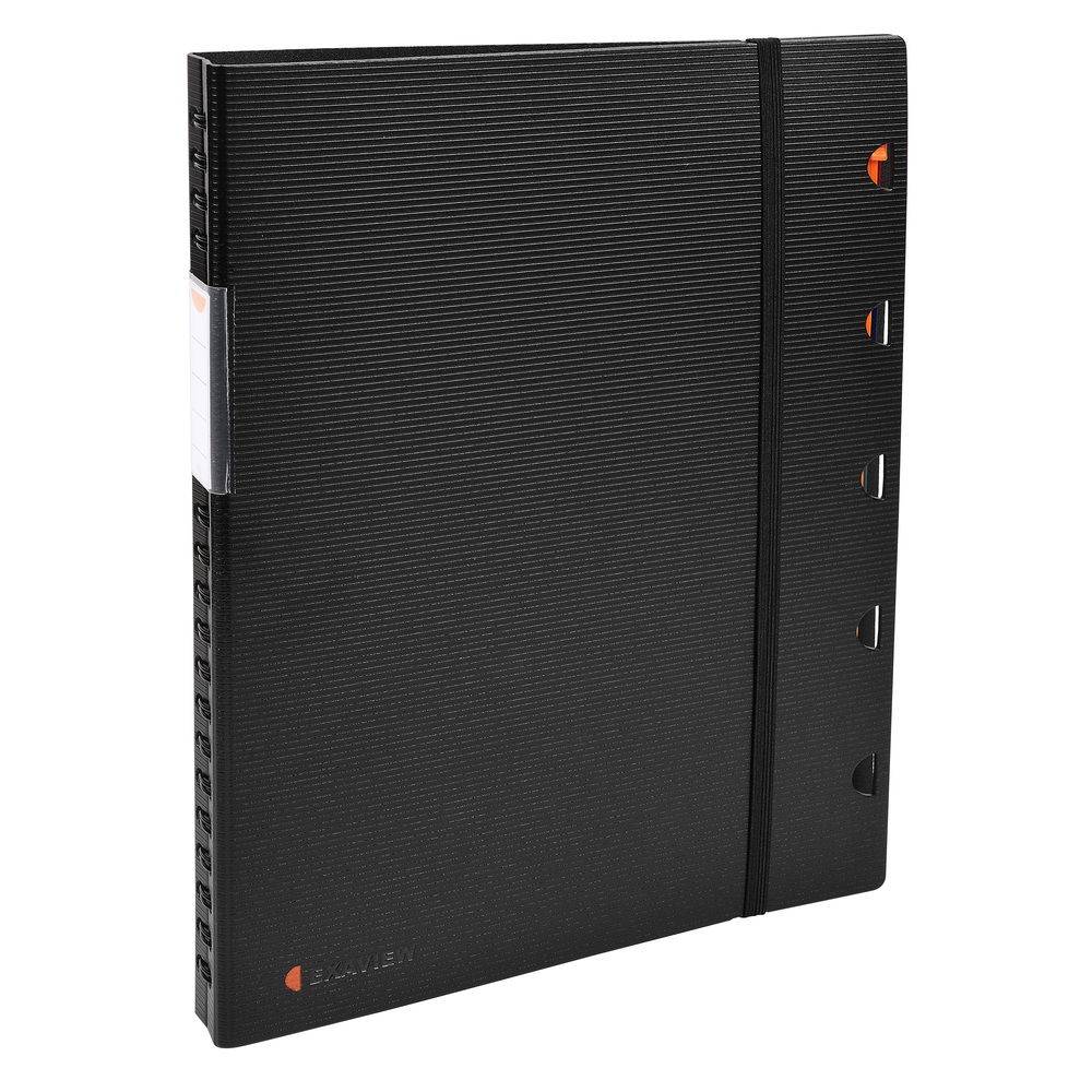 Exacompta 10x Sichtmappe Exaview + 30 Hüllen, A4, Exactive, Schwarz, 85334E