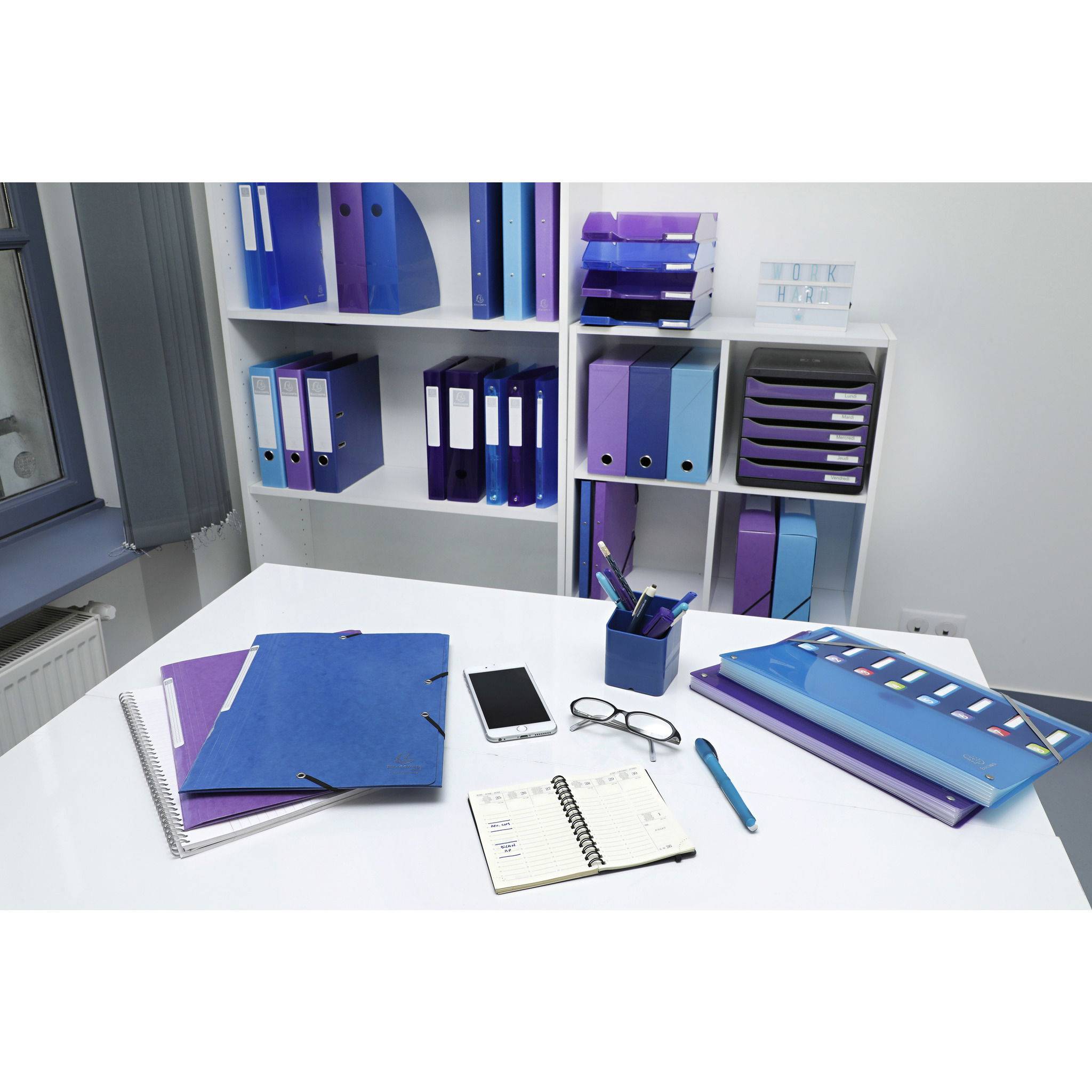 Exacompta 10x mittelfestes Ringbuch 4 Ringe PP 700µ PP- A4 Maxi Violett 51776E