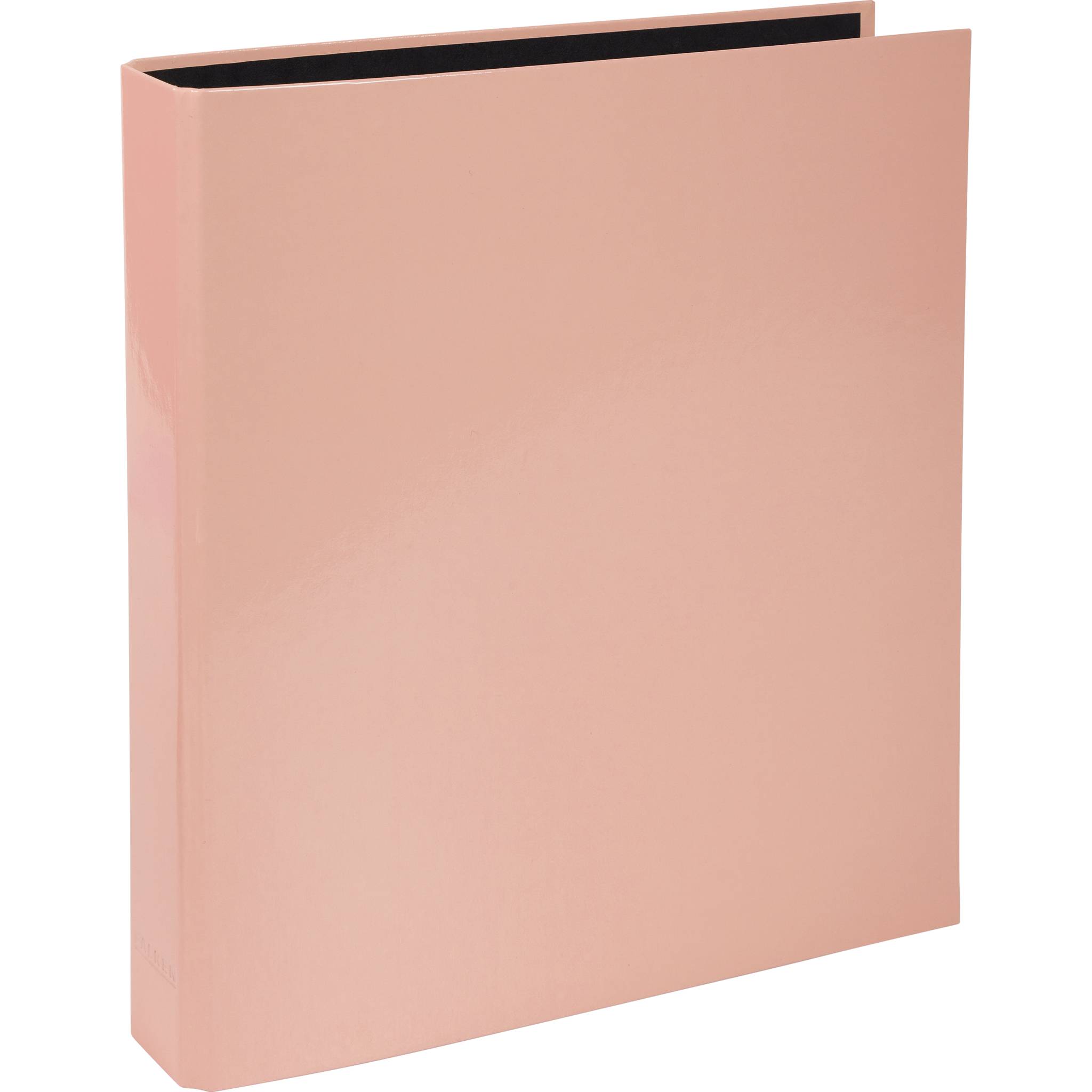 Exacompta 10x Ringbuch A4, 2 Ringe in D-Form 25mm, Aquarel, Korallenrot, 54567E