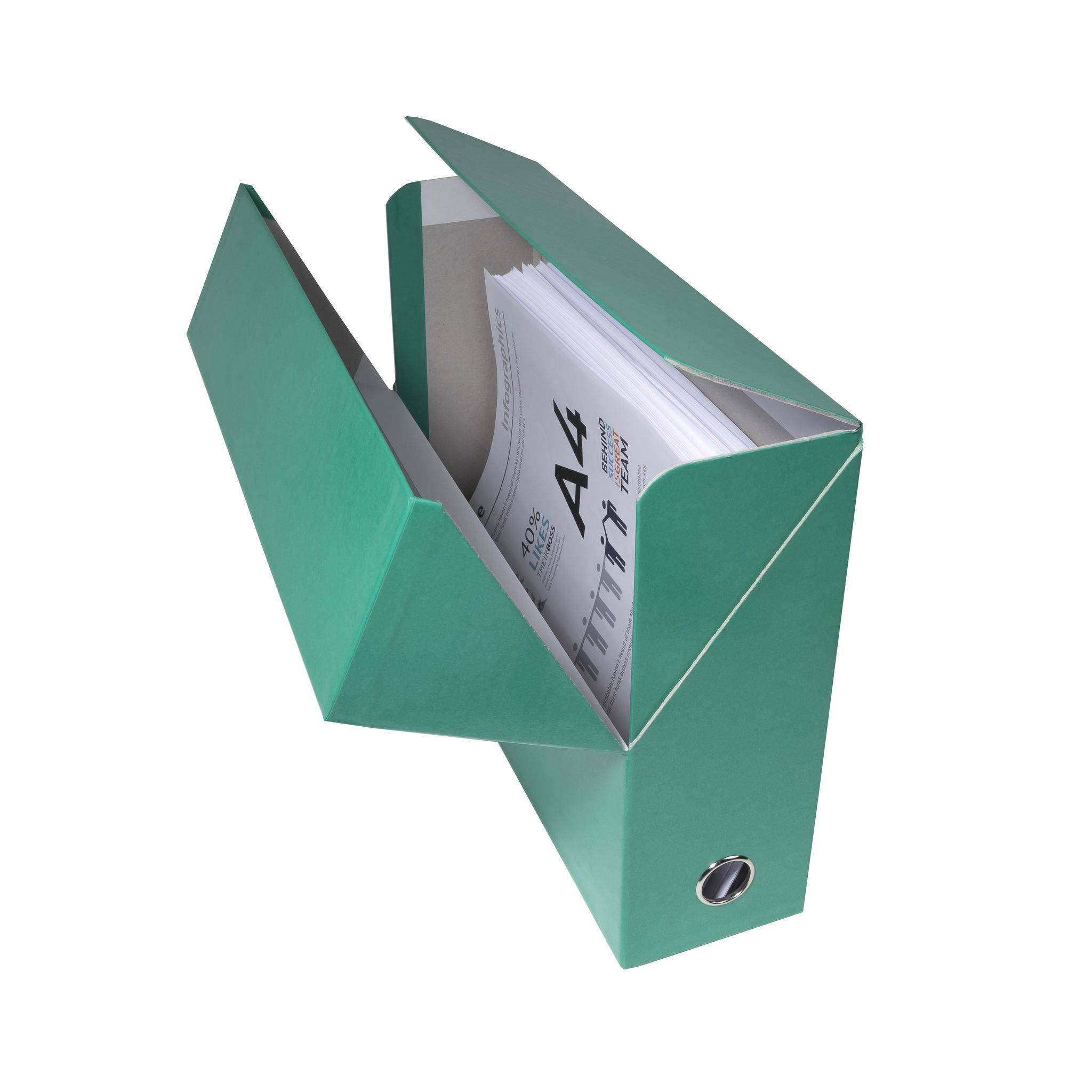 Exacompta 5x Transferbox Karton Rücken 90mm 255x34x9 cm A4 Dunkelgrün 89933E