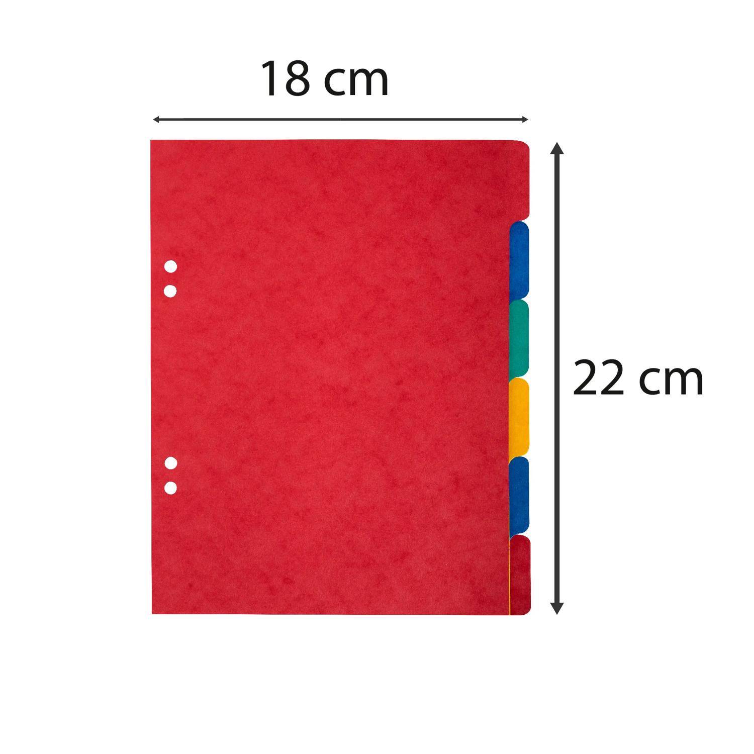 Exacompta 20x Register A5+, Colorspan-Karton 225g, 6 Taben - 406E