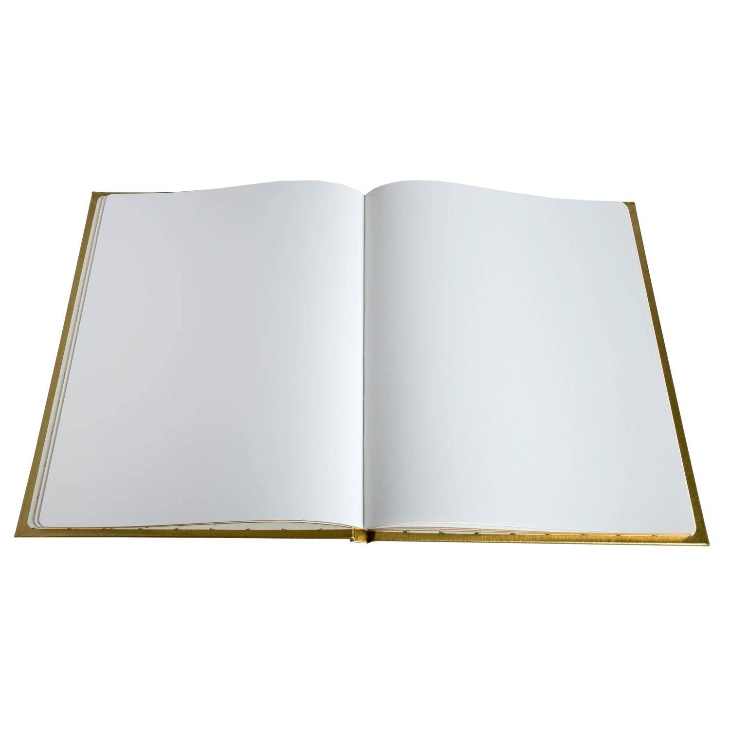 Exacompta 2x Gästebuch Balacron 50 Blatt weiß 27x22 cm Hochformat Gold 4989E