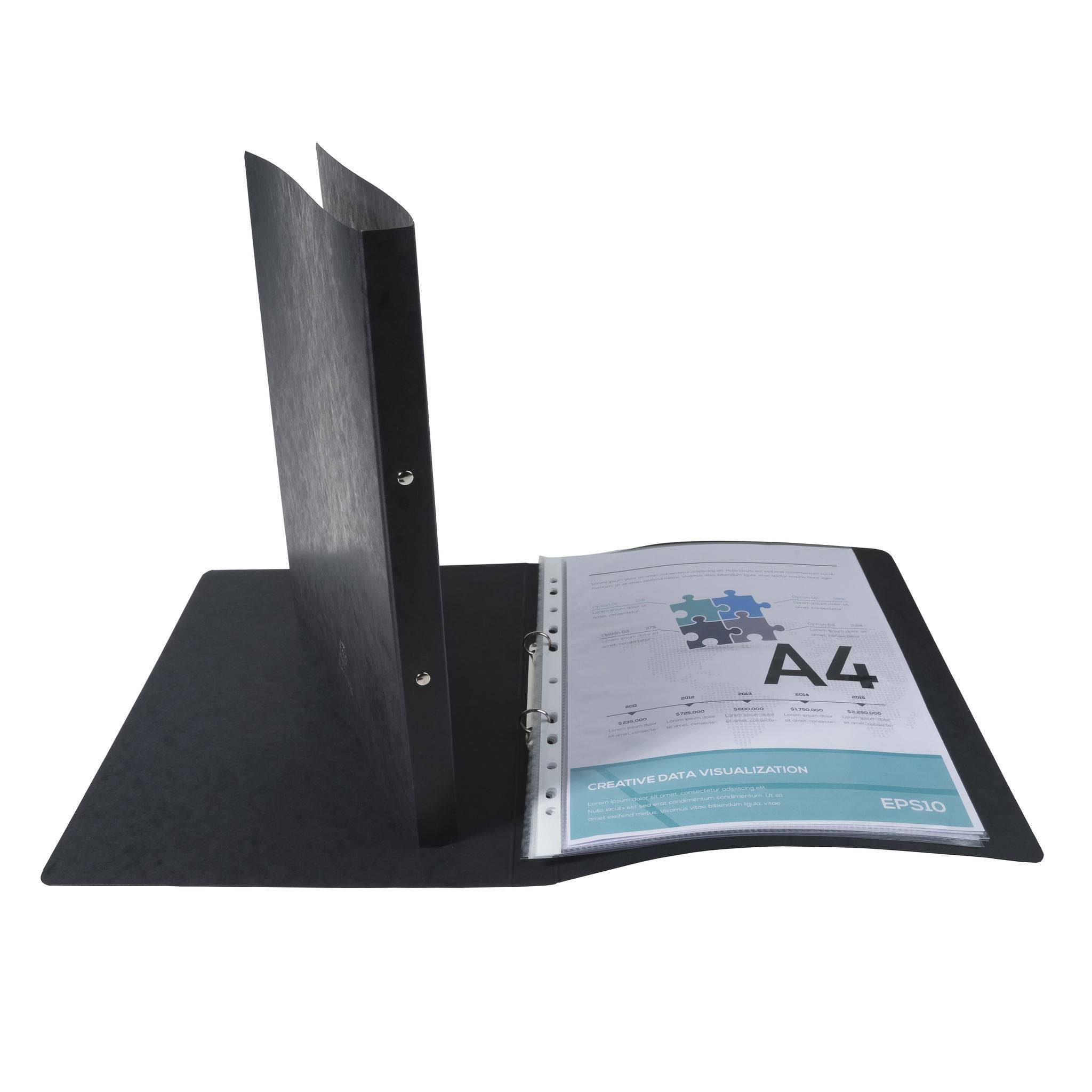 Exacompta 10x Ringhefter Karton 355g 2Ring 15mm Rücken 20mm A4 Schwarz 54251E