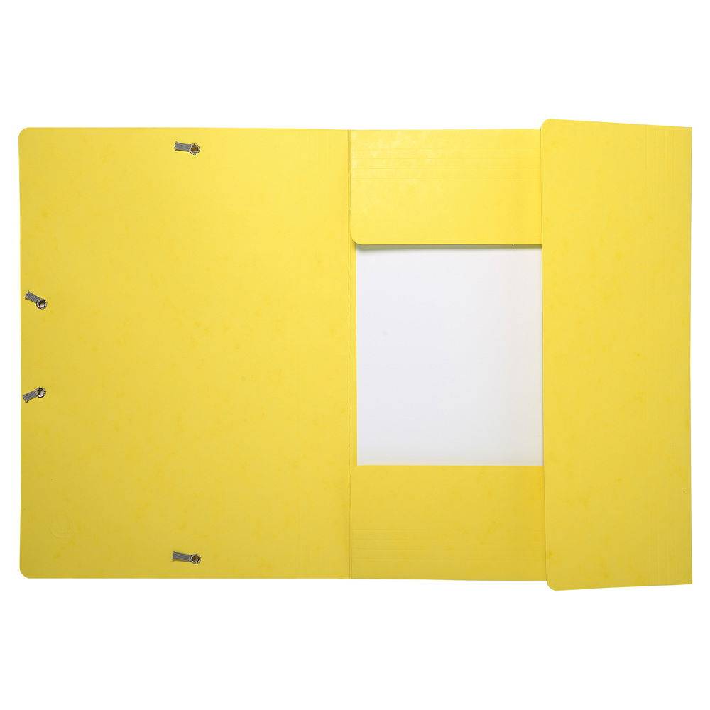 Exacompta 50x Sammelmappe +Gummizug 3 Klappen Karton A4 MAXI sortiert 17100H