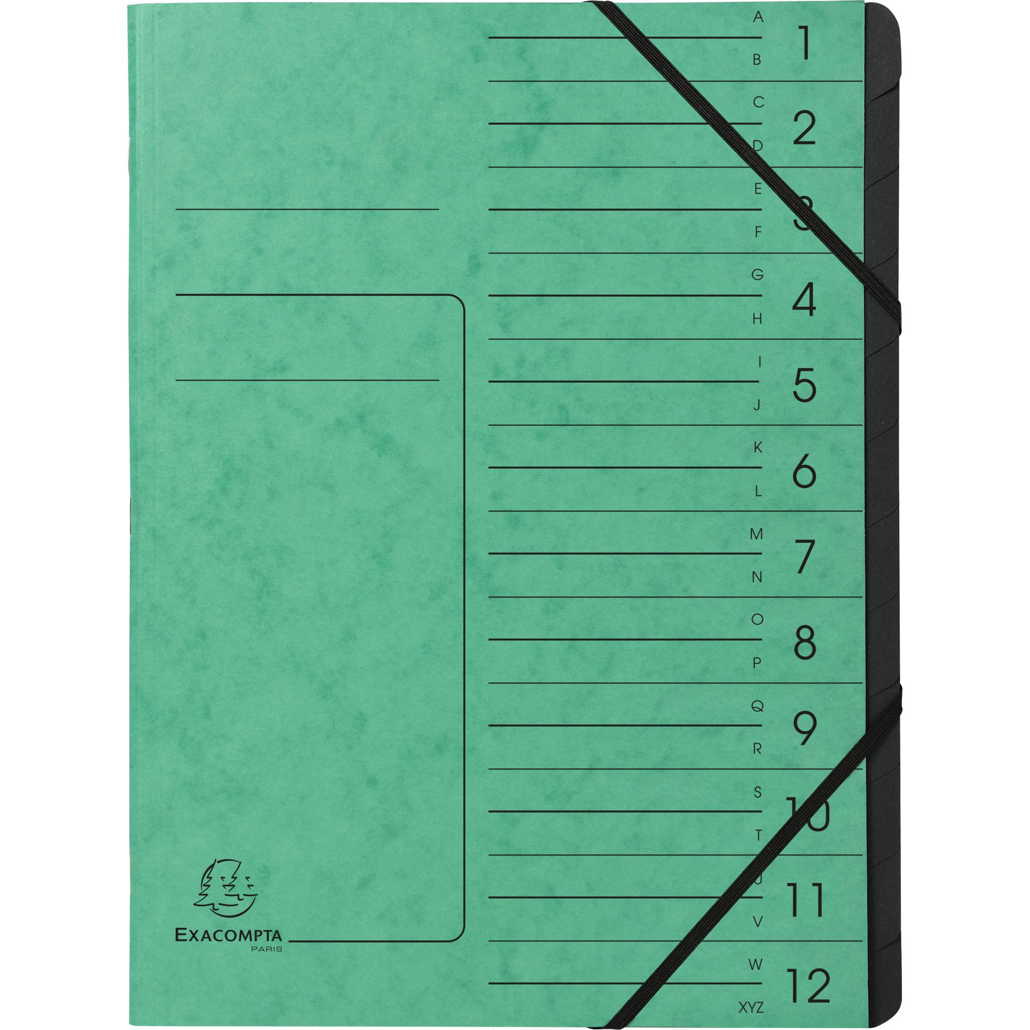 Exacompta 10x Ordnungsmappe + Gummizug innen schwarz 12 Fächer A4 Grün 541203E