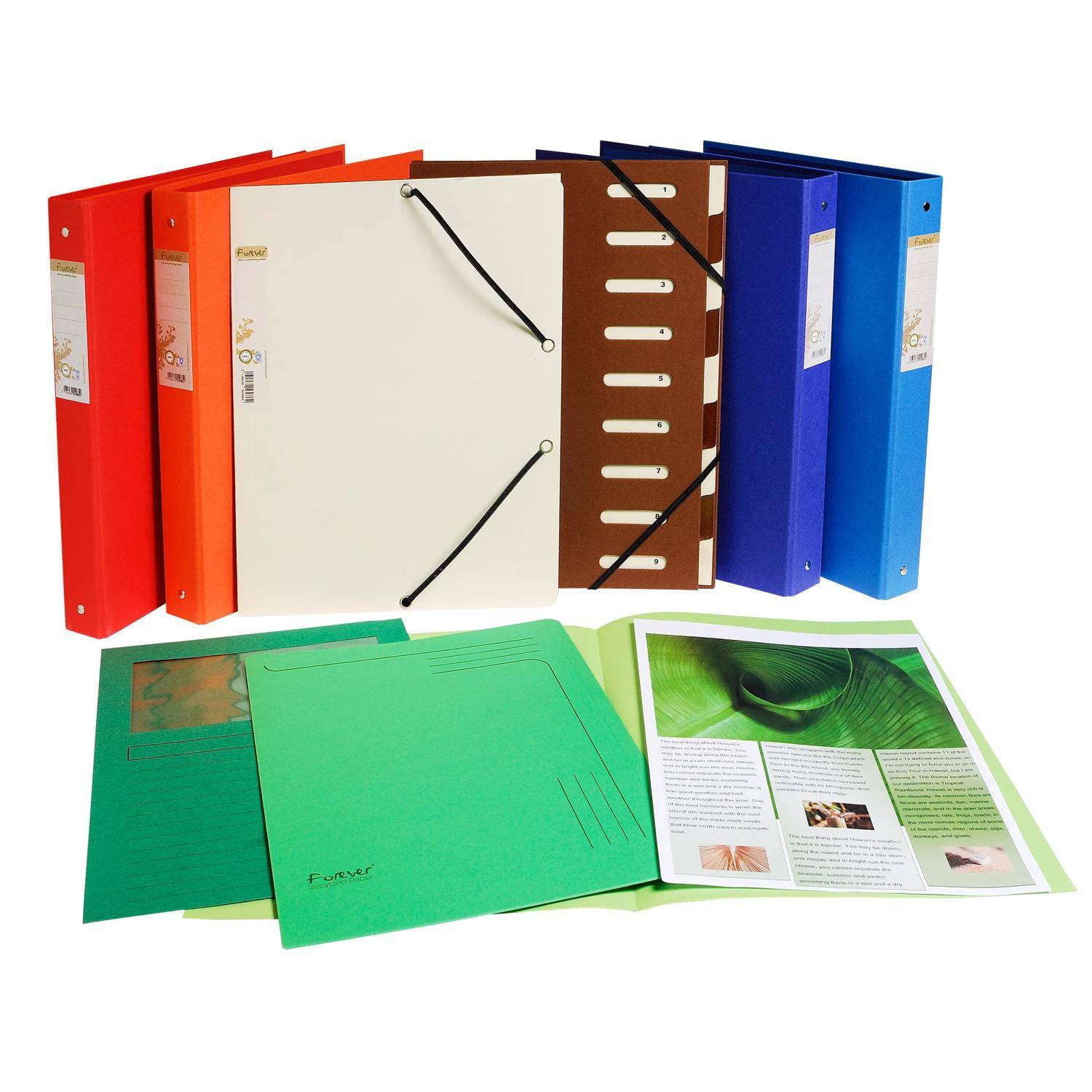 Exacompta 5x 100er Packung Flash 220 Sortiert - Fuchsia - 160020E