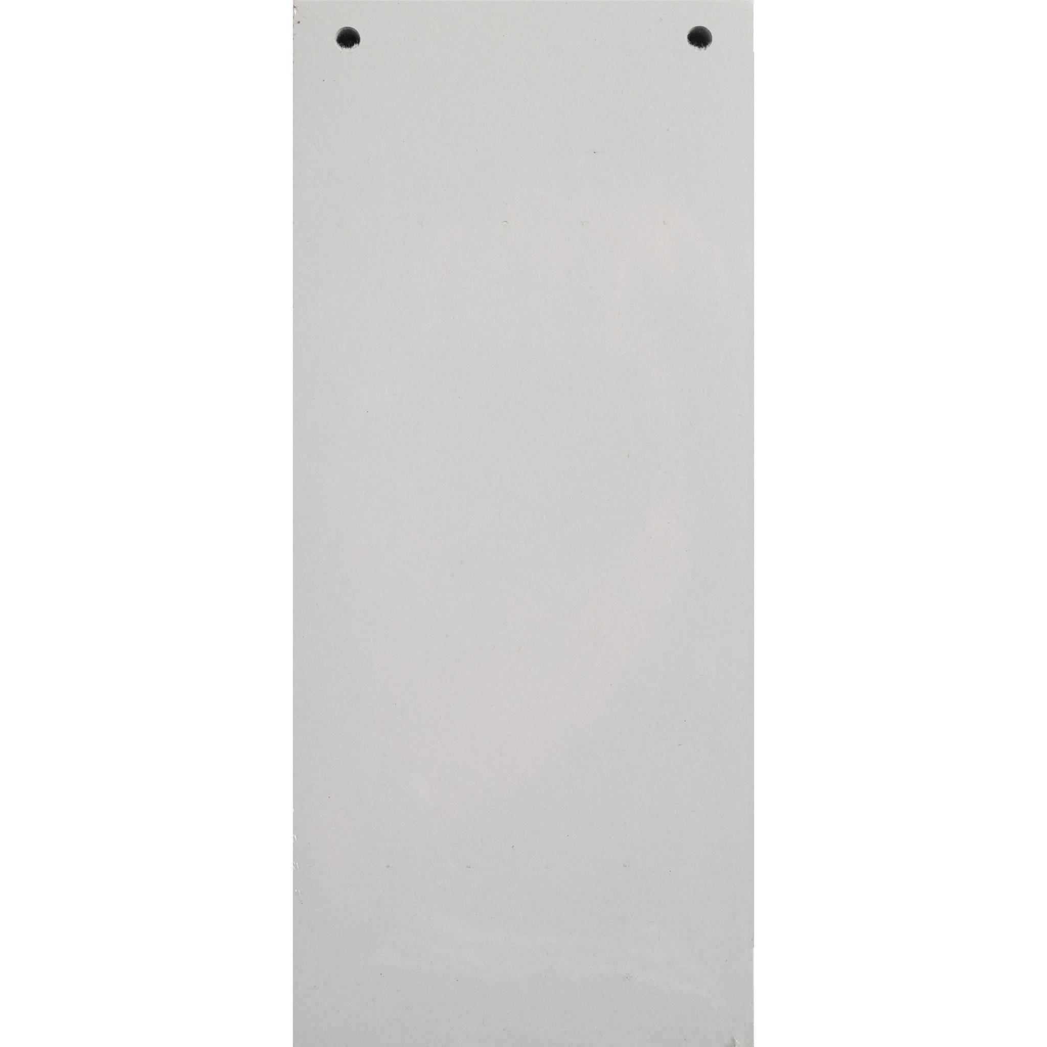 Exacompta 12x 100 Trennstreifen 2-fach gelocht RC Kart 105x240mm Grau 13485B