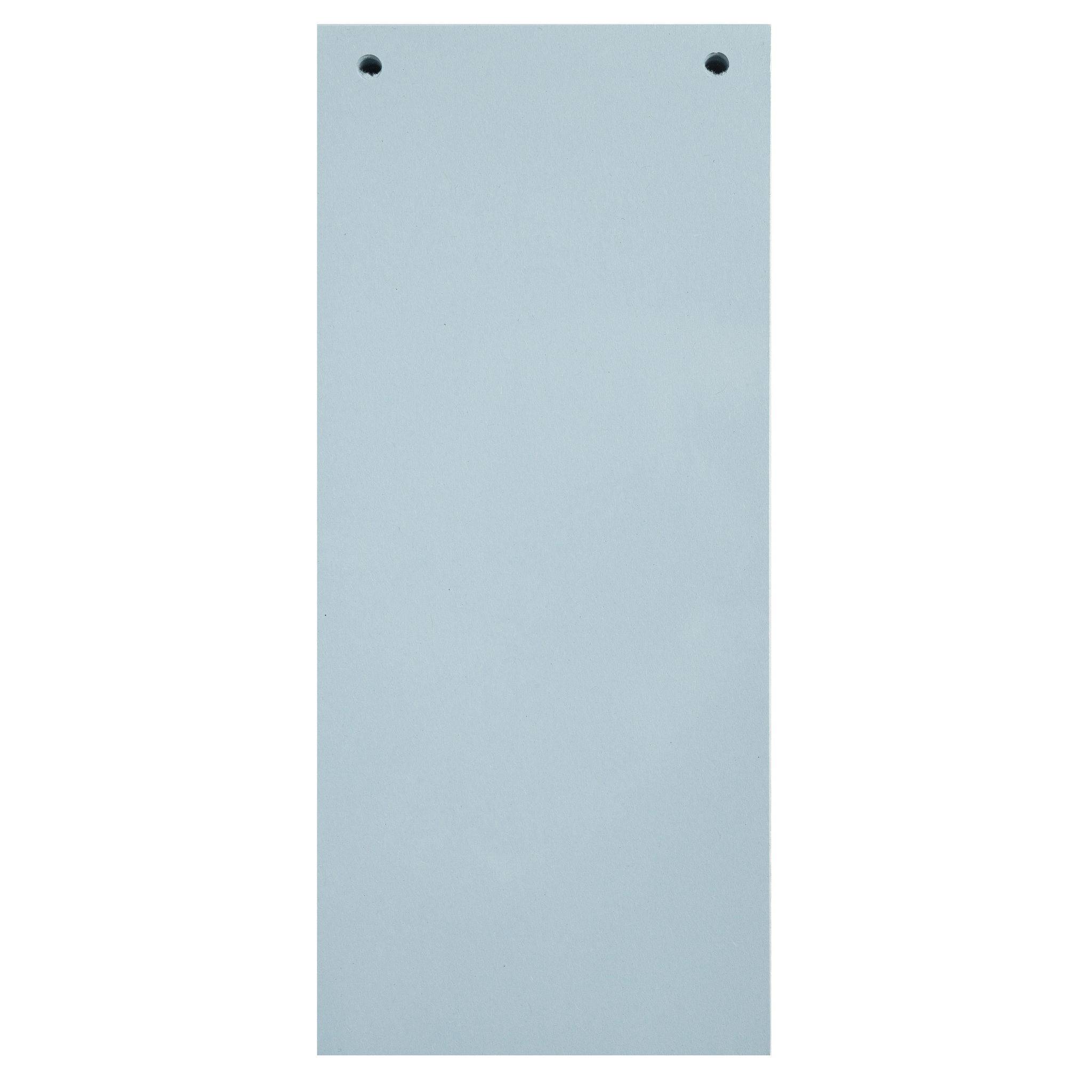 Exacompta 12x 100 Trennstreifen 2-fach gelocht RC Kart 105x240mm Hellblau 13415B