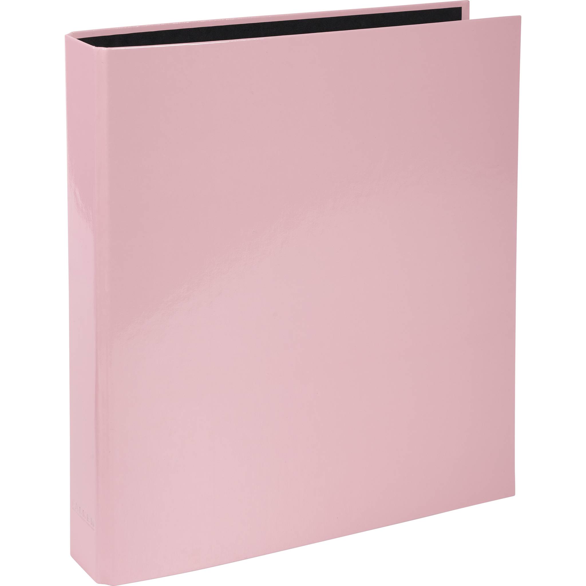 Exacompta 10x Ringbuch A4, 2 Ringe in D-Form 25mm, Aquarel - Rosa - 54566E