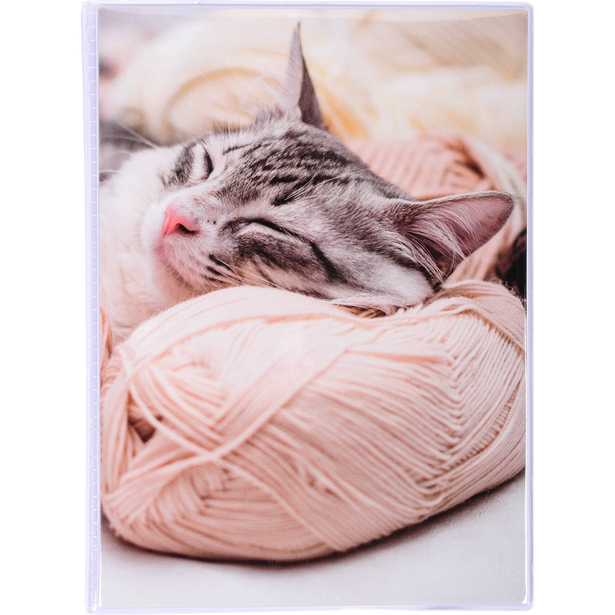 Exacompta 12x Einsteckalbum 24 Fotos 10x15cm 12x16 cm Sortierte Motive 65001E