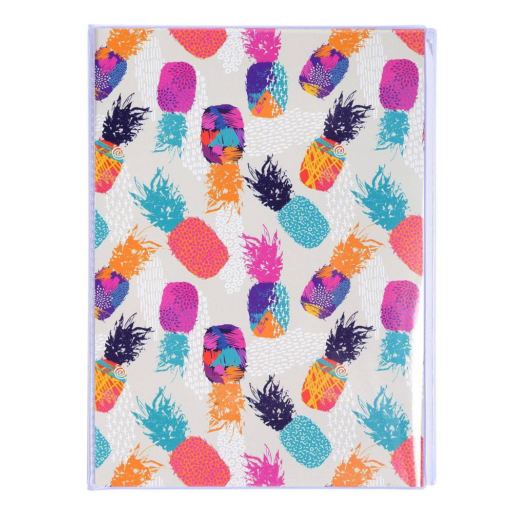 Exacompta 12x Einsteckalbum 24 Fotos 10x15cm 12x16 cm Sortierte Motive 65001E