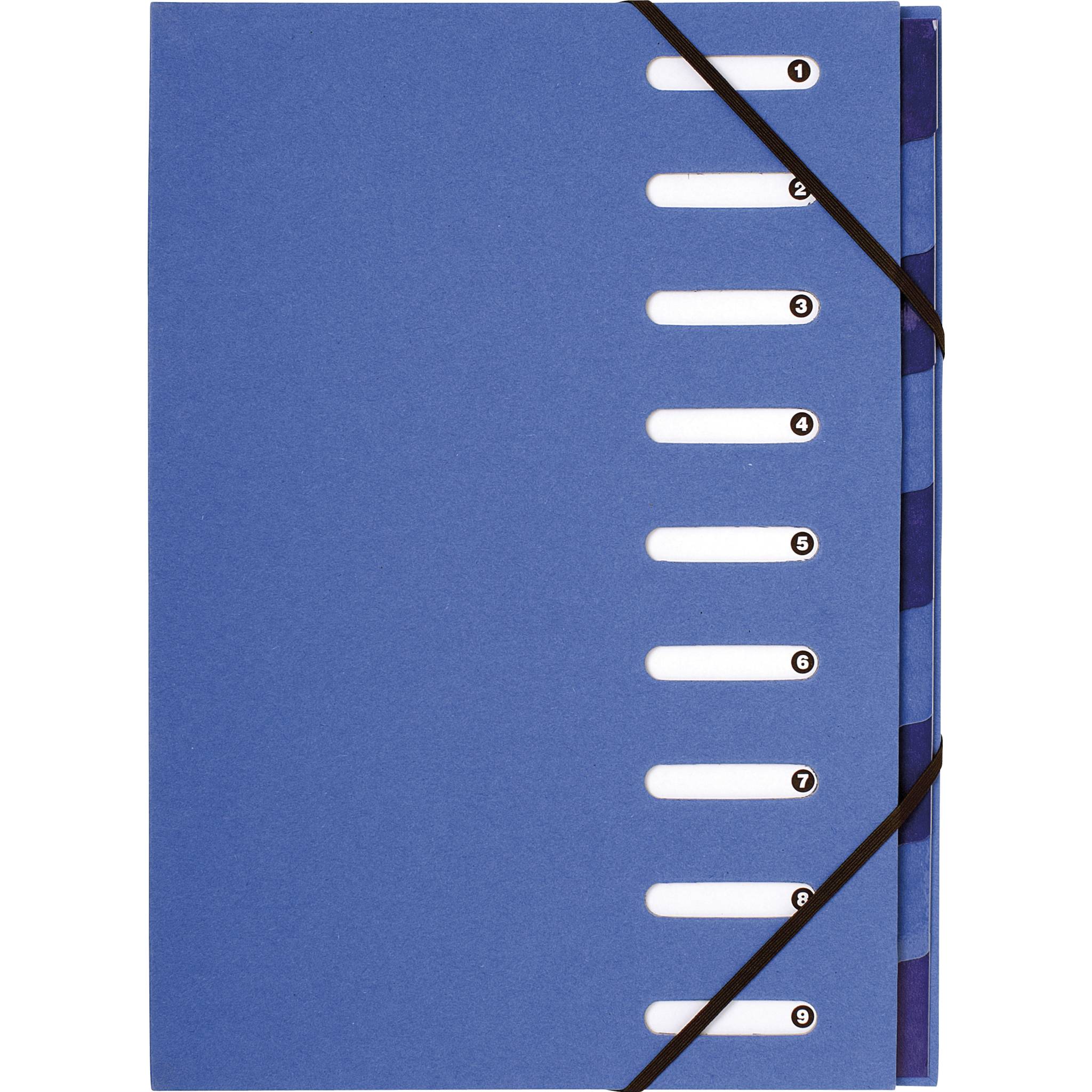 Exacompta 6x Ordnungsmappe RC-PP Gummizug dehnbar 9 Fächer A4 - Hellblau 52982E