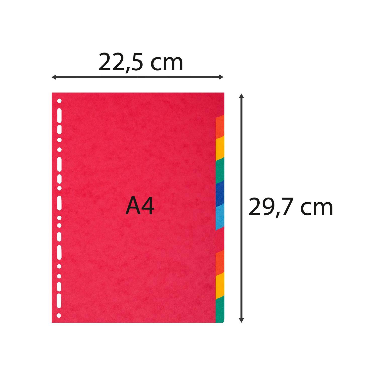 Exacompta 10x Register A4, Colorspan-Karton 225g, 10 Taben - 1410E