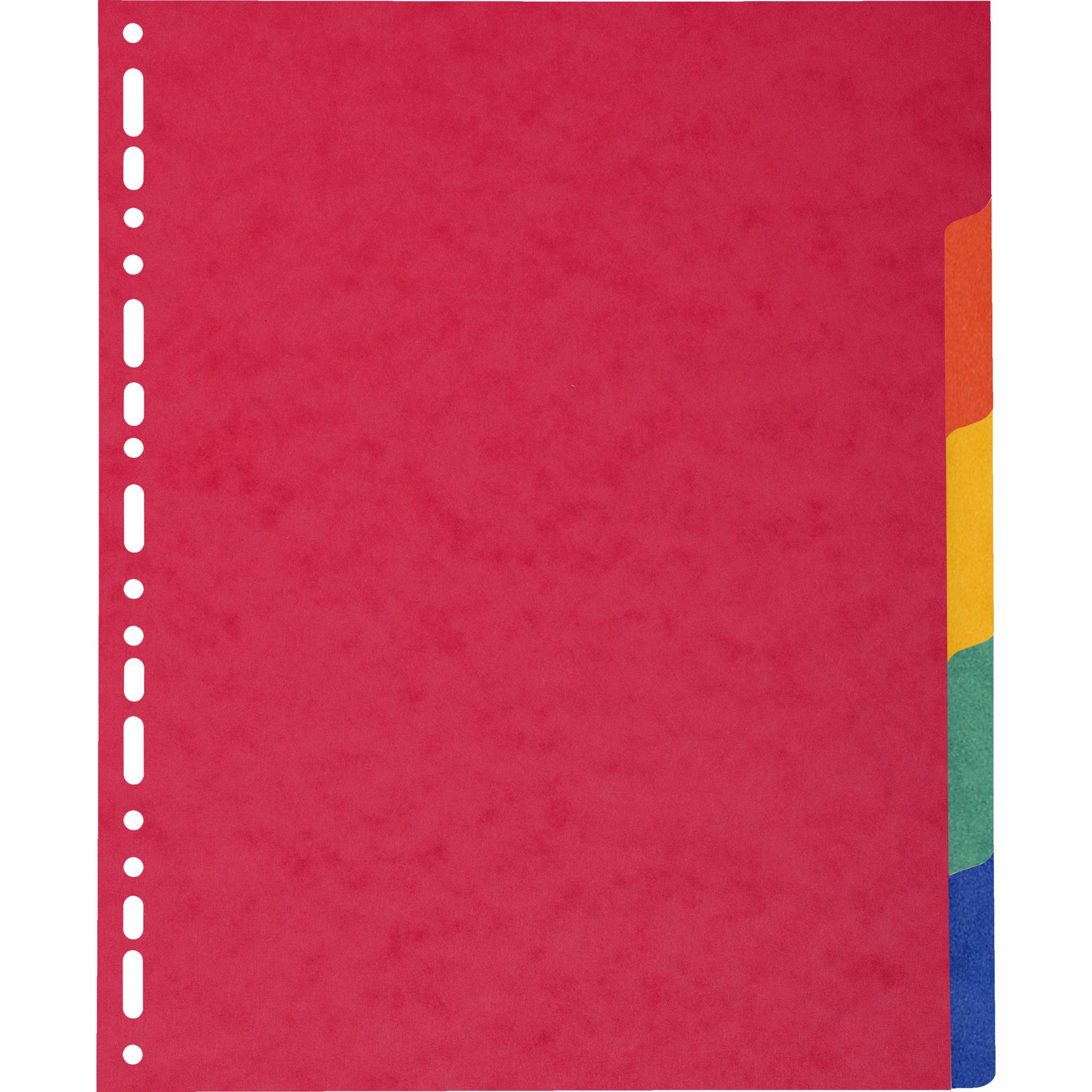 Exacompta 25x Register A4 Maxi, Colorspan-Karton 225g, 5 Taben - 2405E