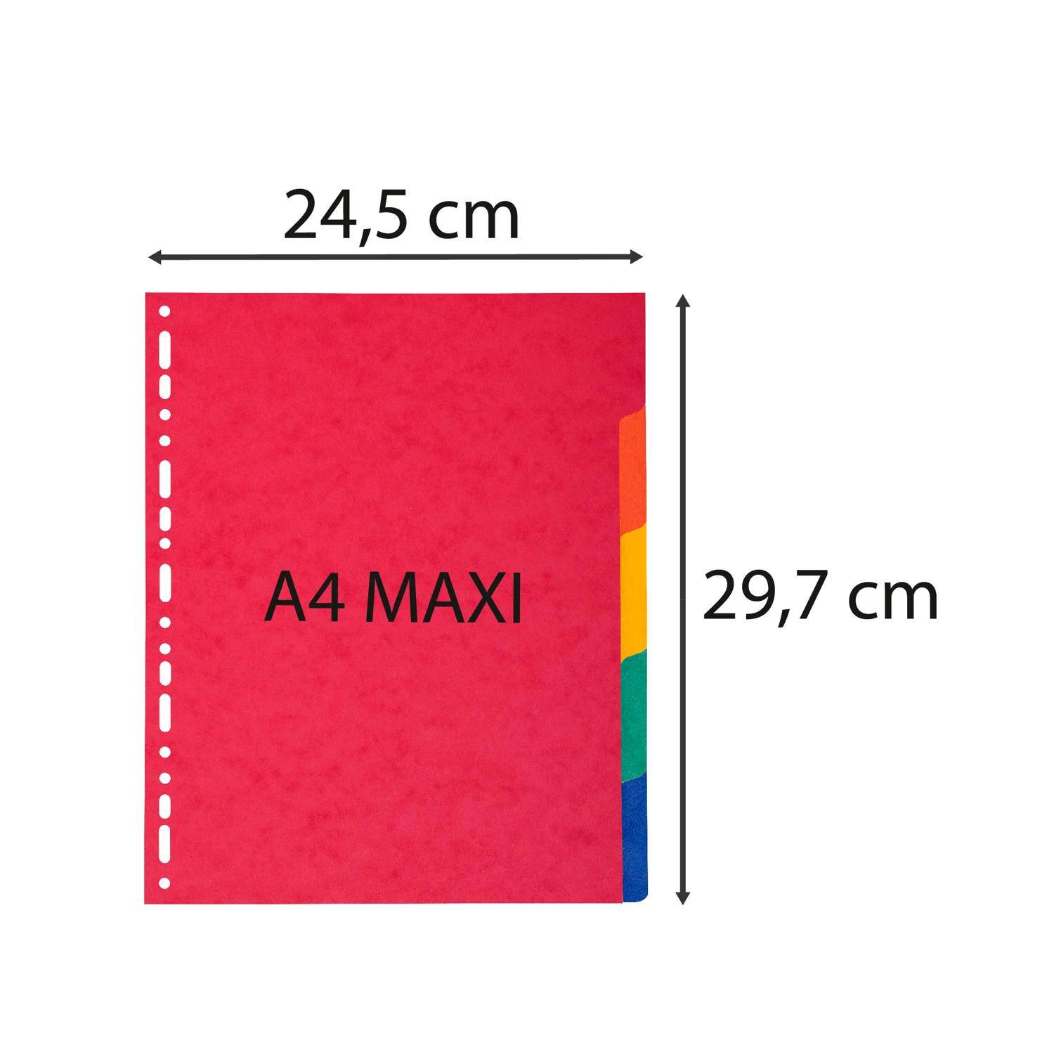 Exacompta 25x Register A4 Maxi, Colorspan-Karton 225g, 5 Taben - 2405E