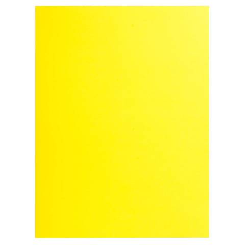 Exacompta 10x 25 Aktenmappe, 2 Innenfächer, A4 oder A3, Zitrusgelb, 415009E