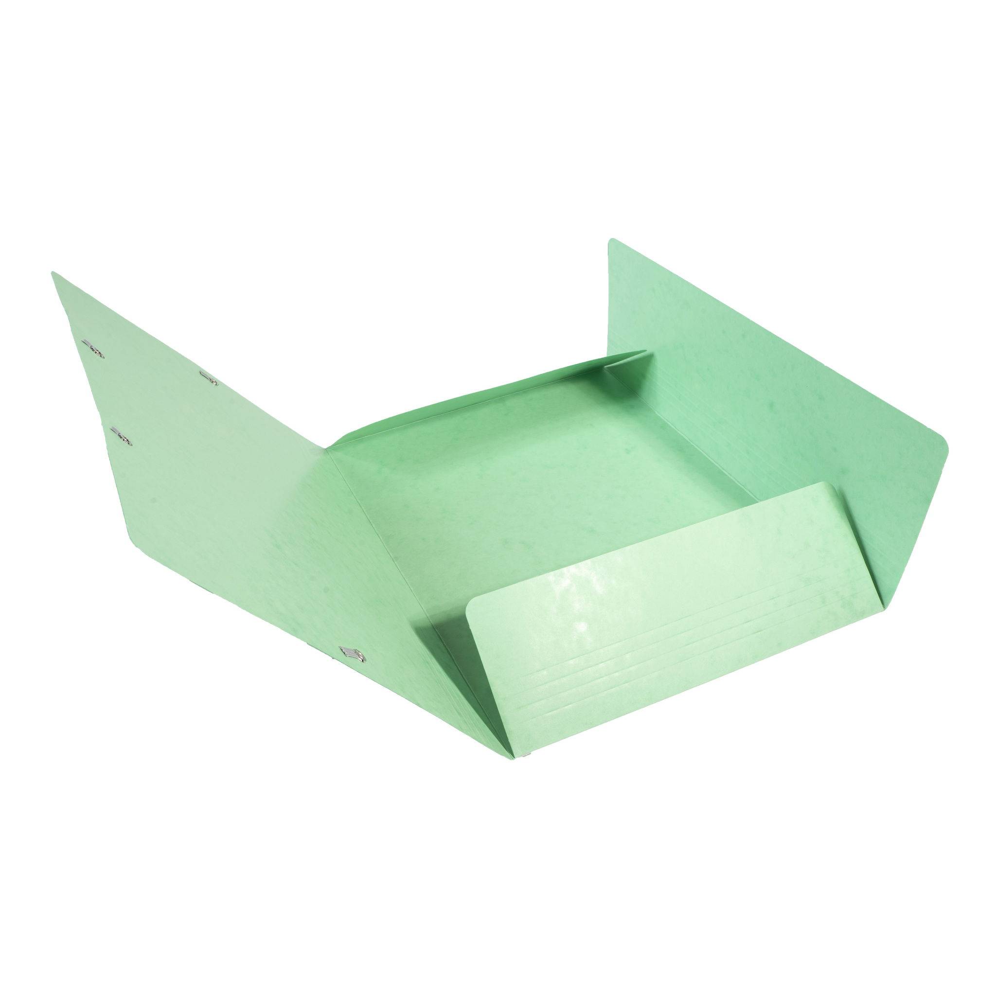 Exacompta 25x Sammelmappe +Gummizug 3 Klappen Karton A4 MAXI Lindgrün 17122H
