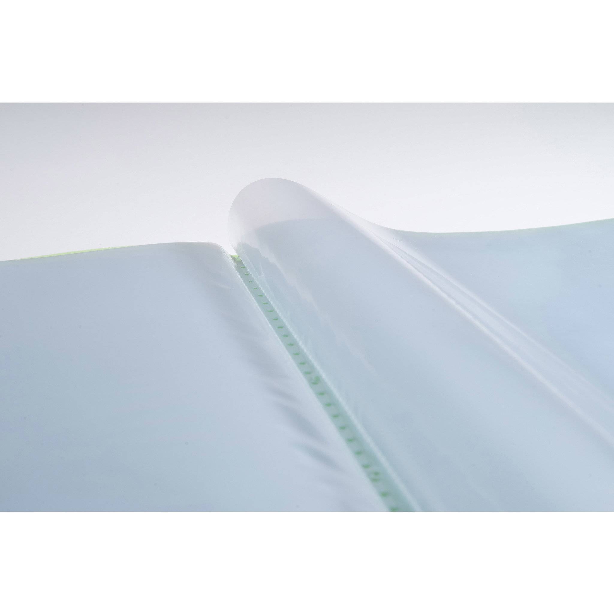 Exacompta 12x Sichtmappe PP 500µ + 40 Hüllen , A4, Grün, 85463E