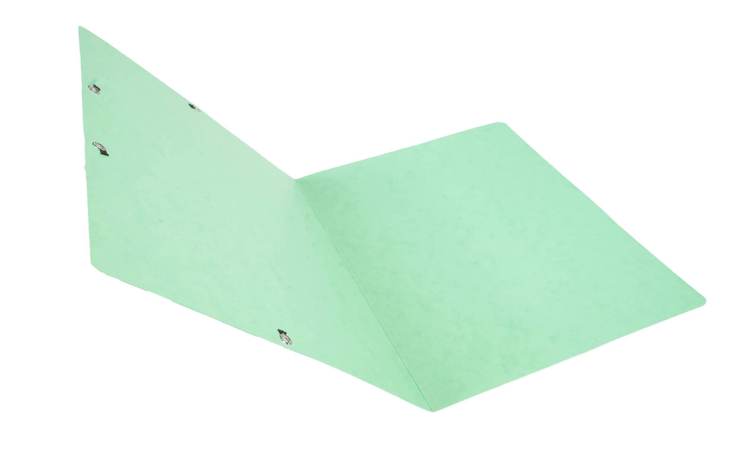 Exacompta 25x Eckspannmappe + Gummizug ohne Klappen, Karton, A4, Lindgrün, 5563E
