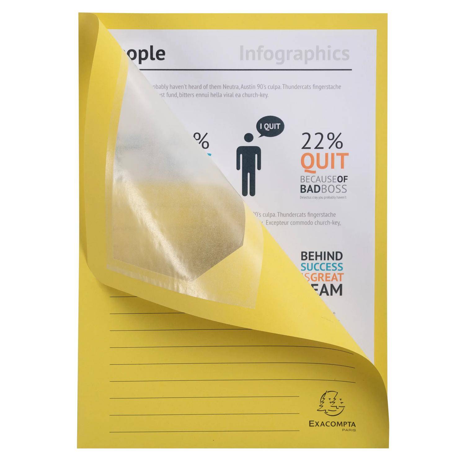 Exacompta 4x Pack 100 Fenstermappen, A4, 160g, plastikfrei - Gelb - 50109E