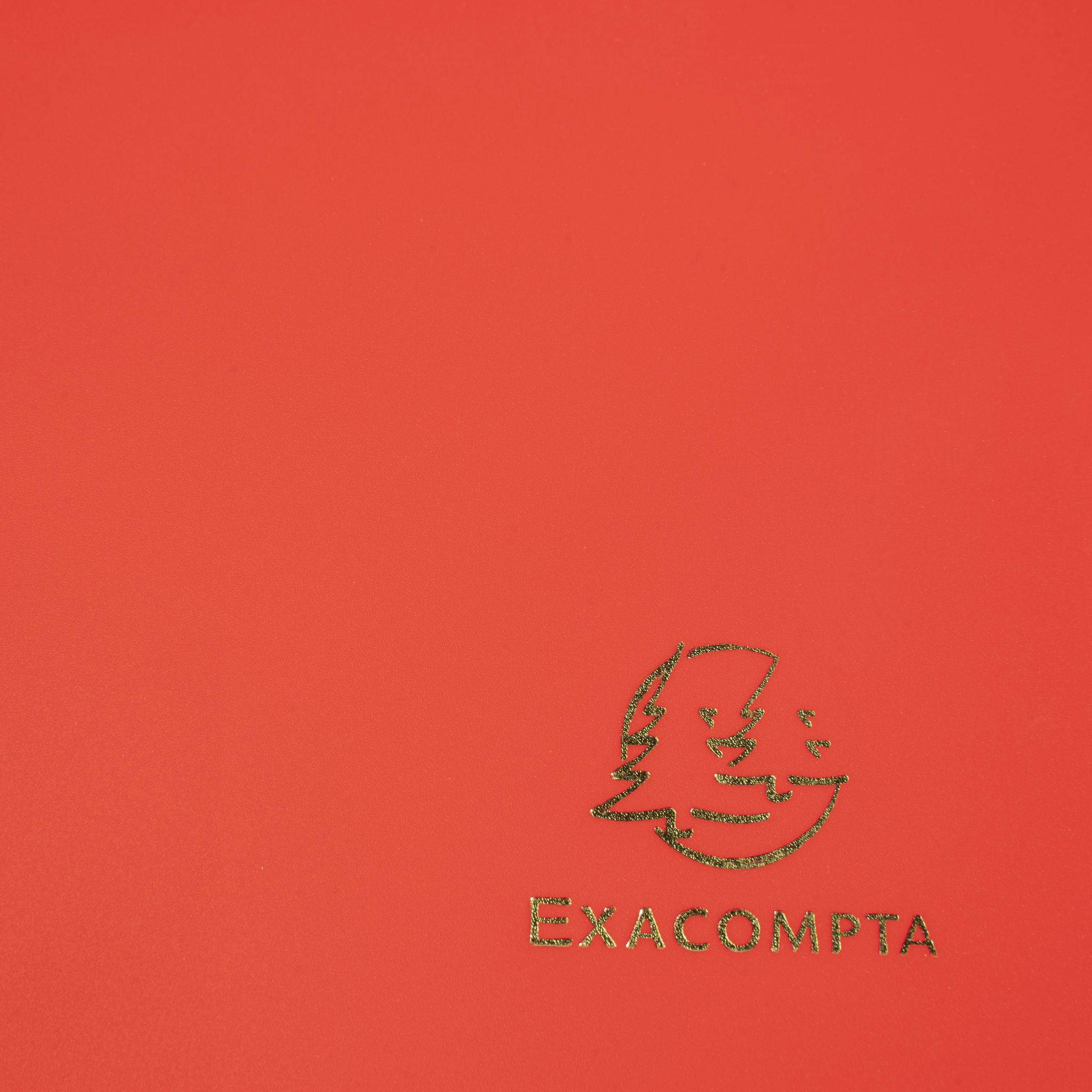 Exacompta 30x Sammelmappe +Gummizug 3 Klappen PP 400µ Eco A4 Rot 55905E