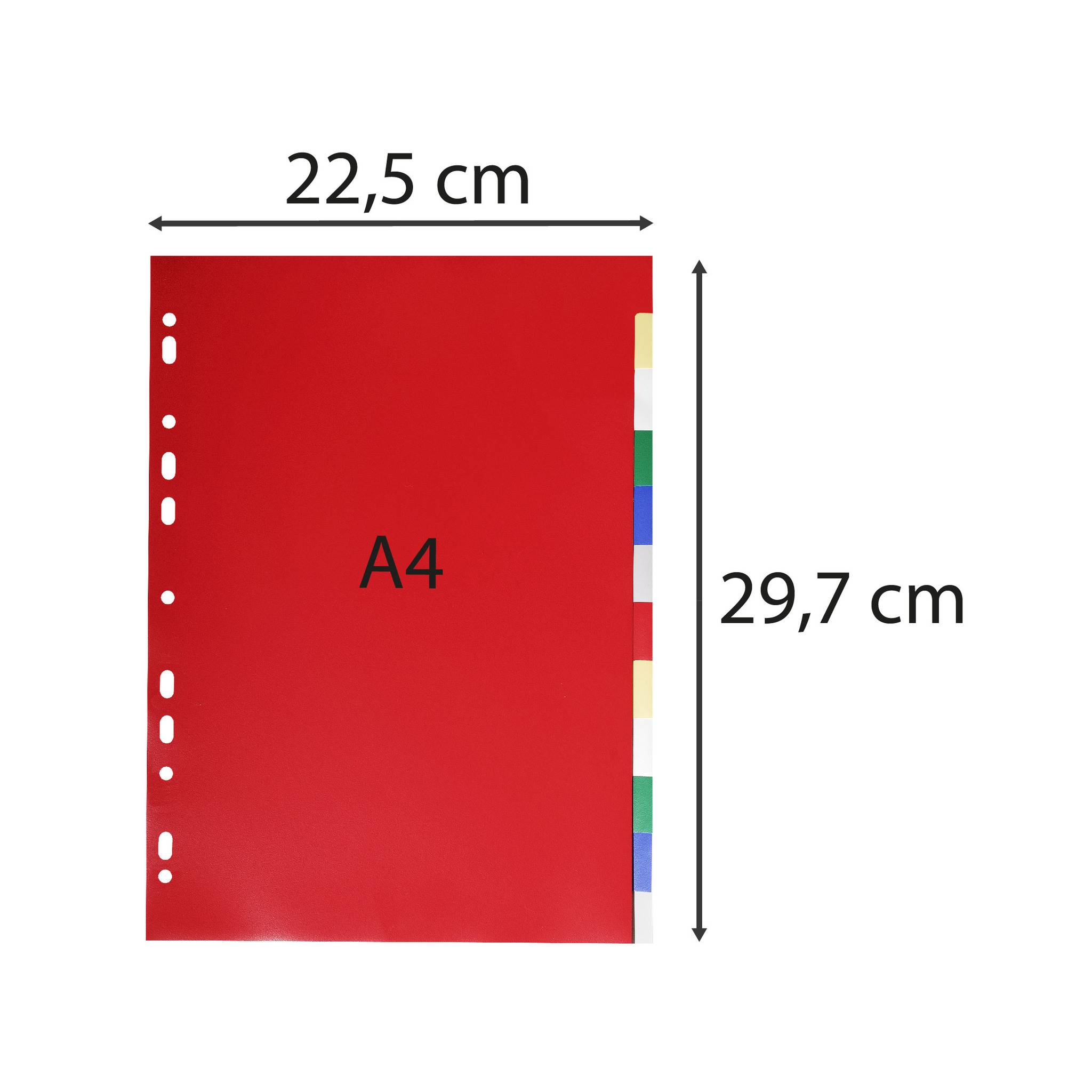 Roter A4-Ordner mit Registerreitern, beschriftet mit „A4", Größe 22,5 cm x 29,7 cm.