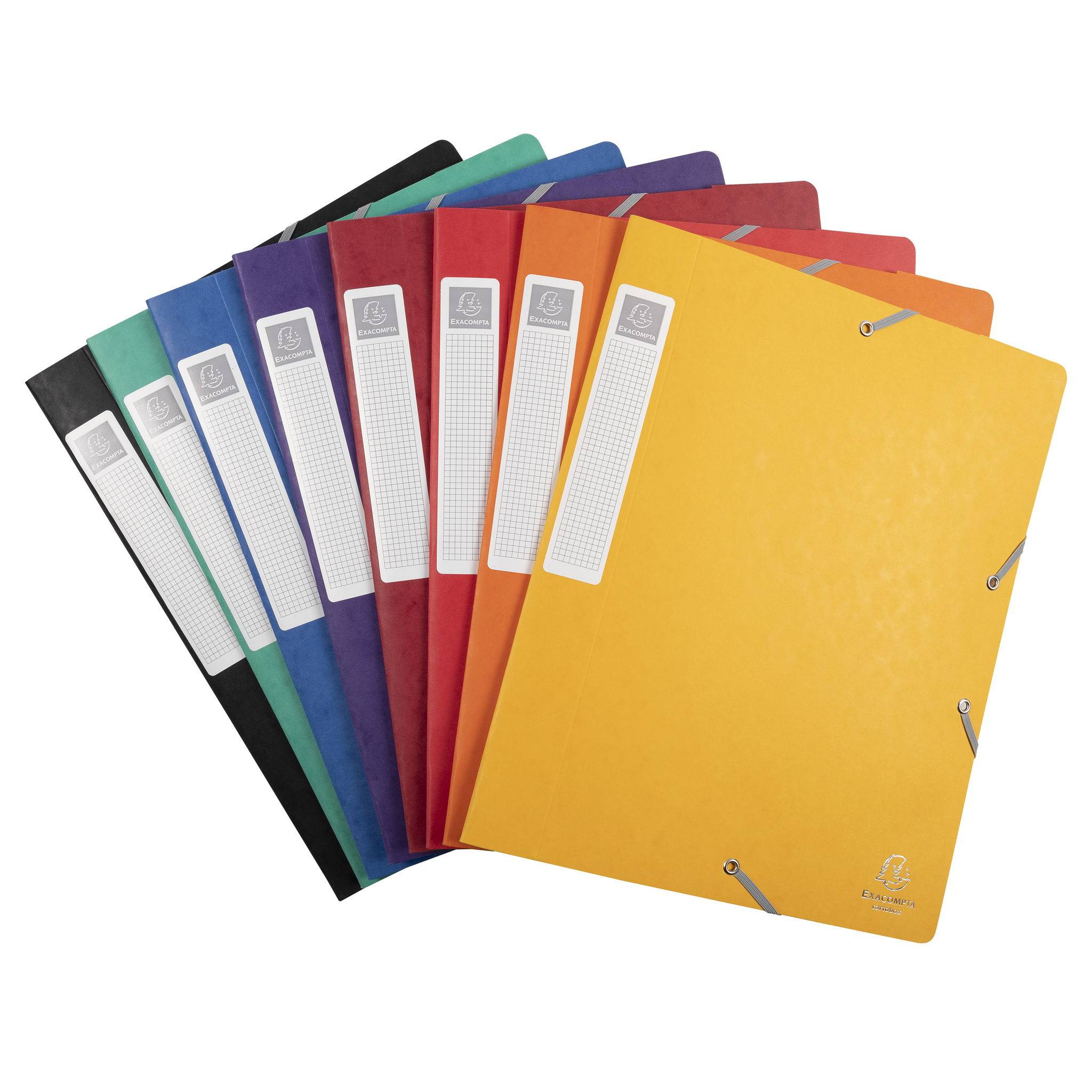 Exacompta 10x Archivbox Rücken 40mm Karton +3 Klappen Gummizug A4 sortier 14000H